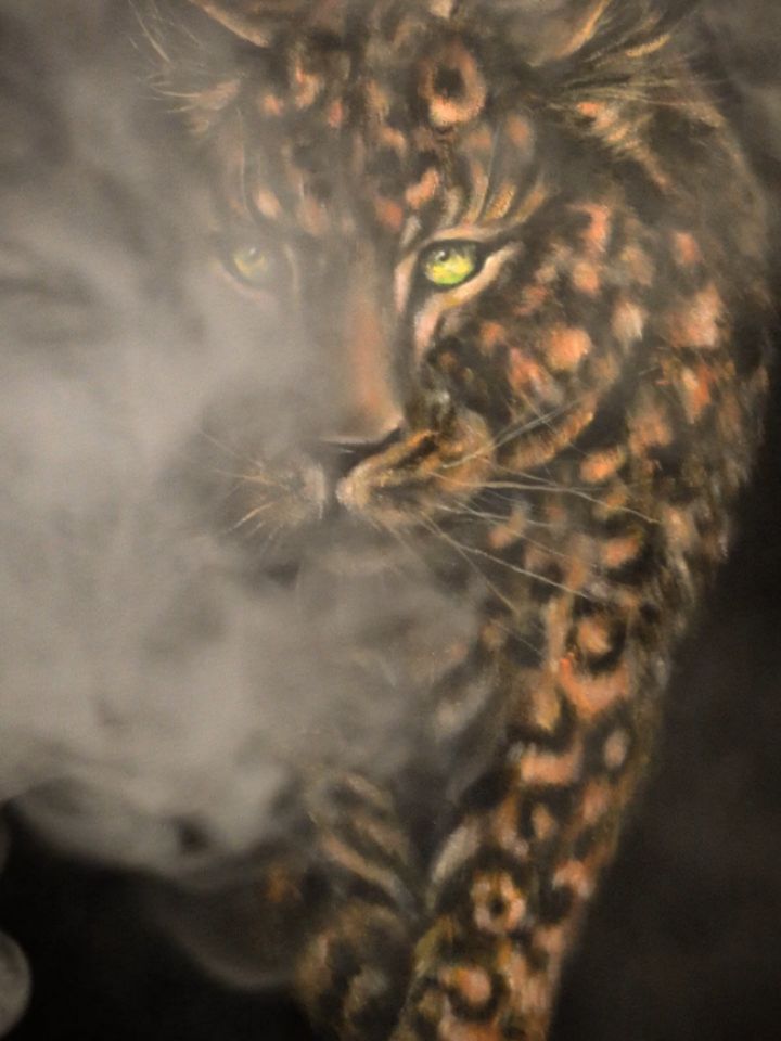 Ты останавливаешься перед картиной — не потому что хотел, а потому что не можешь пройти мимо.
Леопард выходит из темноты. Не резко, не пугающе — он просто идёт. Так, будто всегда шёл и только сейчас стал видимым. Его глаза цепляют тебя сразу. В них нет злости. В них есть знание.
Ты смотришь дольше, чем собирался.
И вдруг ловишь странное ощущение: он идёт не к тебе… а из тебя.
— Ты устал прятаться, — звучит внутри, тихо и точно.
Ты напрягаешься, но не отводишь взгляд.
Леопард делает шаг. Ещё один. С каждым движением тьма за ним сгущается, будто это не фон, а место, куда ты когда-то закрыл часть себя.
— Ты оставил меня там, — продолжает он. — Когда решил быть удобнее. Тише. Безопаснее.
Тебе становится не по себе. Потому что это правда.
Ты хотел отвернуться — но не можешь.
— Я — это ты, когда не сдерживаешься.
Он почти у самой границы. И на секунду кажется, что ещё шаг — и он выйдет.
Но он не выходит.
Он ждёт.
И ты понимаешь: он не может выйти без тебя.
Тишина тянется.
И впервые за долгое время ты задаёшь себе вопрос, от которого раньше уходил:
если он — это ты…
то кто тогда тот, кто всё это время стоял в стороне?