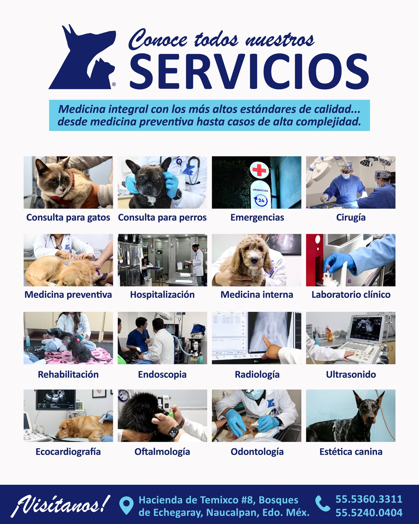🏥¡Conoce todos nuestros servicios!
La salud debe ser integral… Por eso contamos con diferentes áreas y servicios diseñados para acompañar a tus animales de compañía en cada etapa de su vida 🐾
¡Te esperamos pronto!
📍 Hacienda de Temixco #8 Bosques de Echegaray, Naucalpan De Juárez.
#hospitalveterinario #veterinario #clinicaveterinariadelbosque