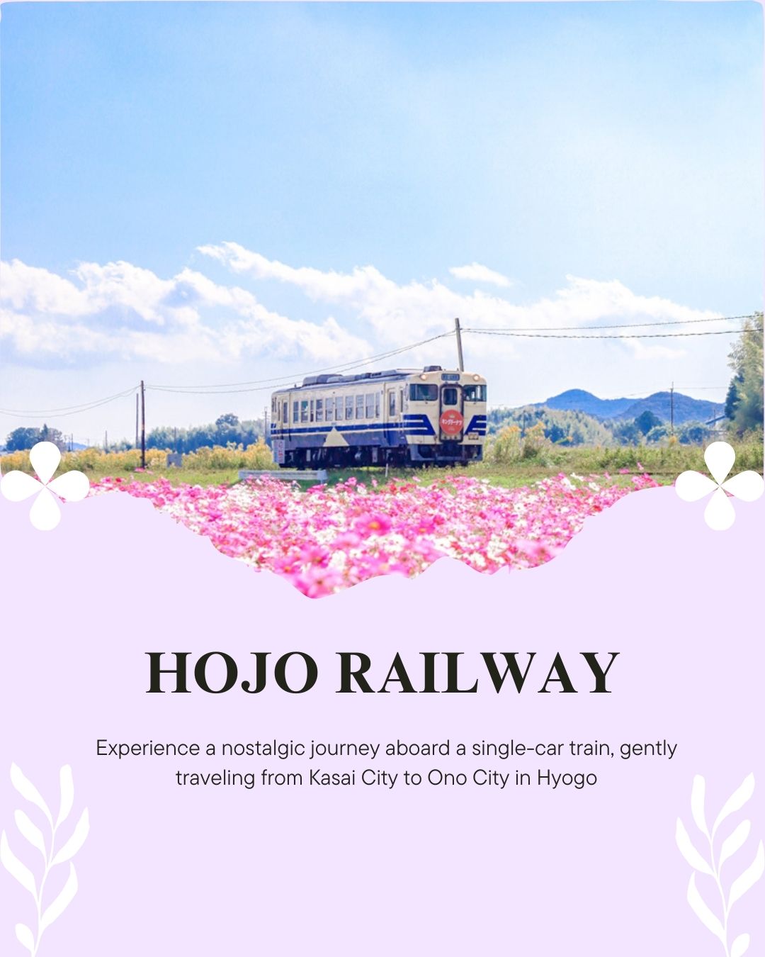 Take a ride on the charming Hojo Railway 🚃🌸
🚊💞This cute single-car train runs through the peaceful countryside of Kasai and Ono in Hyogo, connecting 8 stations from 🚉Hojyo Station to 🚉Ao Station.
Enjoy a comfortable and nostalgic ride as you take in beautiful scenery with colorful 💐flowers, 🌳trees, and picturesque rice fields. 🌾🌼
⌛In just a 22-minute (13.6 km), you’ll feel transported to a slower, more relaxing side of Japan that you are looking for.
🎫 Don’t miss the 1,000 yen day pass for unlimited rides!
Hop off to explore local restaurants 👣and stroll through charming towns along the line.
🌐 http://www.hojorailway.jp/
🌐https://kanko-kasai.com/hojorailway_course/
@hojorailway_official
#hyogo #hojorailway #ono #kasai #hyogo #railways #japanrailway #兵庫 #北条鉄道 #北条鉄道トレインビュー #鉄道