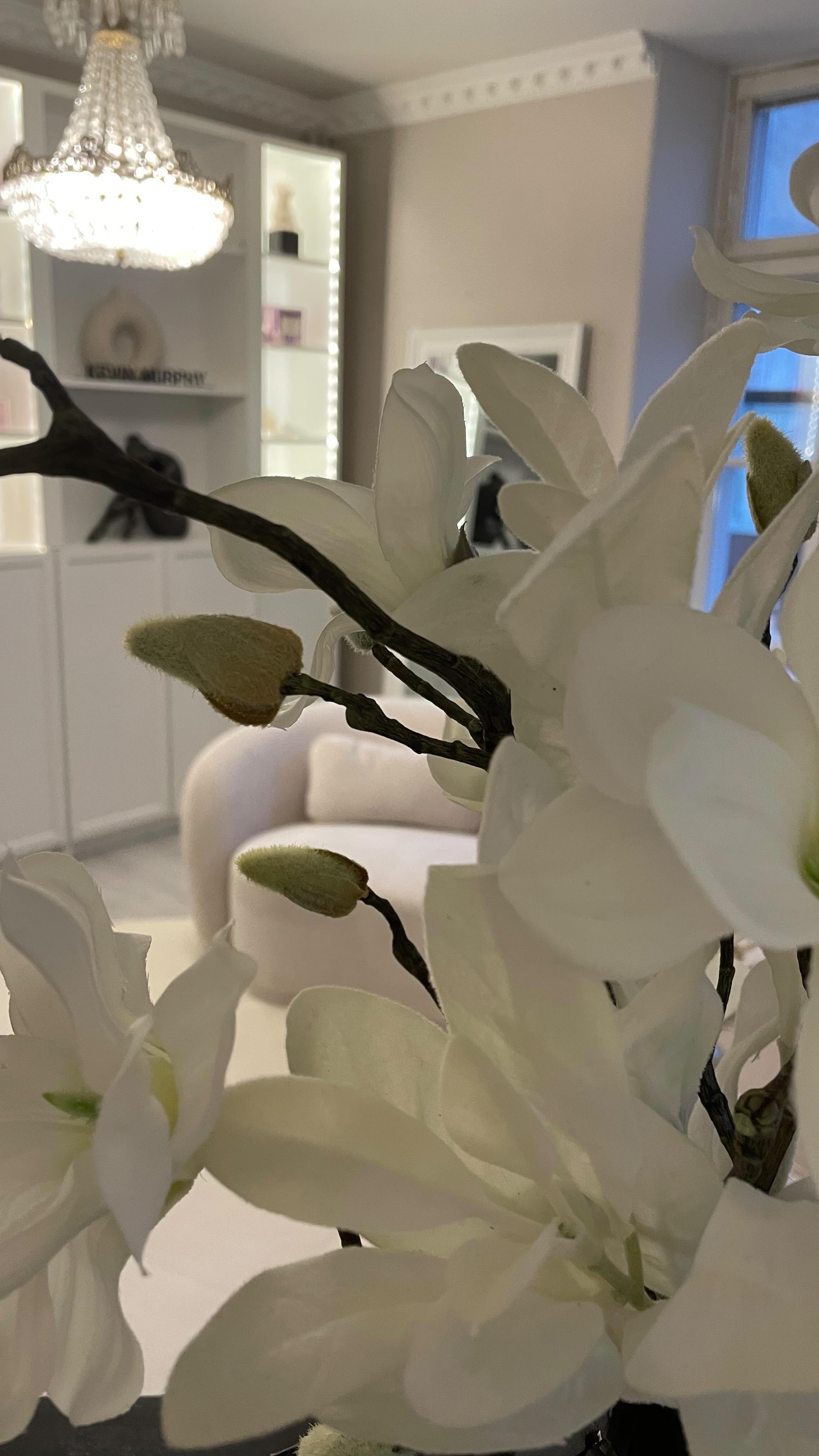 📧Liikkeellämme ei ole varsinaisia aukioloaikoja, joten tavoitat meidät parhaiten ja nopeimmin sähköpostitse.
Voit ottaa yhteyttä sähköpostilla kaikissa asioissa, kuten ajanvarauksiin, palveluihin tai muihin kysymyksiin liittyen.
📧➡️ studiomelissaoulu@gmail.com