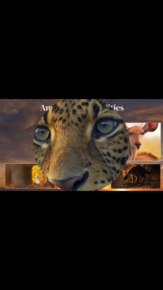Experience the Ultimate Safari Adventure! π¦ Join Kedibone Safaris for a personalized journey in Kruger National Park! π³
β¨ Private packages with accommodation, meals, and guided activities
β¨ Perfect for wildlife photographers, families, corporate groups, and special events
Book now and create lifelong memories!
WhatsApp me on: +27615031268
#gamedrive
#safariadventure
#krugernationalpark #wildlifeexploration
#kedibonesafarifamily