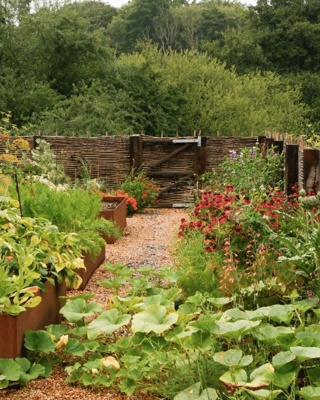In this former tennis court turned productive garden, companion planting plays a central role in how the space functions and thrives.
Rather than growing crops in isolation, we have woven them together in carefully considered communities. Leafy greens sit alongside aromatic herbs. Climbing beans share space with flowering plants that draw in pollinators. Root crops benefit from neighbours that help to deter pests or improve soil structure. Each planting decision is part of a wider conversation between species.
Companion planting allows the garden to become more resilient and less reliant on intervention. It supports biodiversity above and below ground, encourages natural pest control and helps create a balanced, productive ecosystem.
In transforming this old tennis court, our aim was not simply to create a place to grow food, but to design a living system. When plants are chosen to support one another, the garden becomes more generous, more abundant and more in tune with the rhythms of the seasons.
Learn more about how we turned this former tennis court into a thriving productive garden and edible woodland in our latest blog – link in bio.
⸻
ABOUT: Joe Perkins Design is a multi-award-winning landscape design consultancy, creating innovative outdoor spaces that celebrate the environment, wildlife, and biodiversity. Working across the UK and internationally, we partner with clients who share our passion for sustainable and visionary design. Discover more about our work at: www.joeperkinsdesign.com