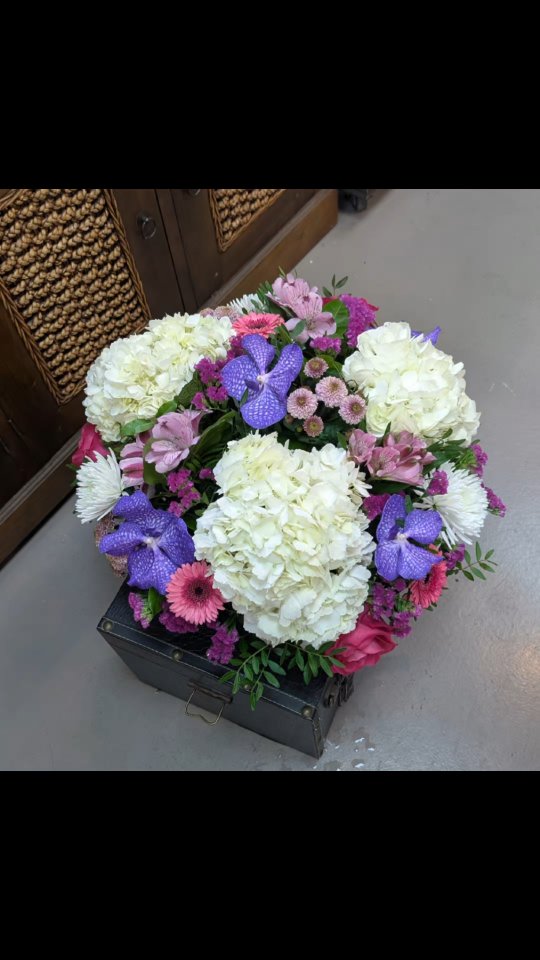 Un hommage tout en douceur et en lumière 🤍🕊️
Ce coussin mortuaire coloré, décliné dans des tons de bleu 💙, rose 🌸 et blanc 🤍, a été imaginé pour transmettre tendresse, paix et amour. Les orchidées Vanda, majestueuses et délicates, se mêlent harmonieusement aux roses et aux hortensias pour créer une composition élégante et pleine d’émotion.
Chaque fleur est choisie avec soin afin d’honorer la mémoire d’un être cher avec respect et délicatesse ✨ Une création florale pensée pour accompagner un dernier adieu avec beauté et sérénité 🕊️
Réalisé avec cœur dans mon atelier d’artisan fleuriste à Nice 🌿
#ArtisanFleuriste #FleuristeNice #Nice06 #Deuil #Hommage 🤍💙🌸