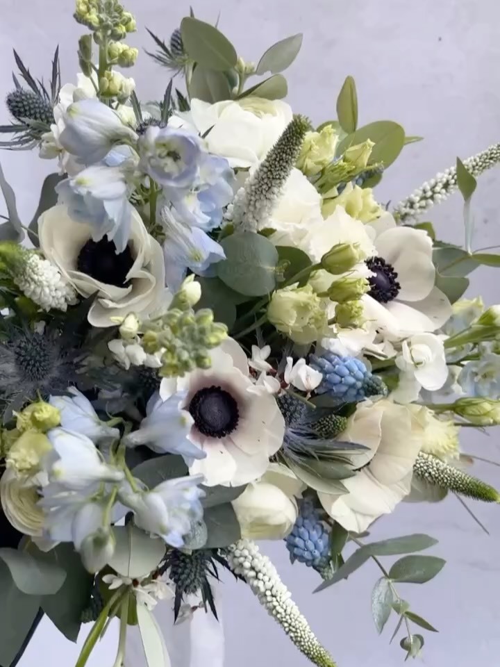 Blue blooms.
I’ve been working on a LOT of proposals with this colour scheme lately- it seems to be having a moment!
So here are a few of my favourite blue and white wedding arrangements - from bouquets to big blousey table florals and some in between.
Blue wedding flowers | wedding planning | wedding flowers | blue colour scheme
#weddingflorals #weddinginspiration #blueandwhitewedding #luxuryweddingflowers #bridalbouquets