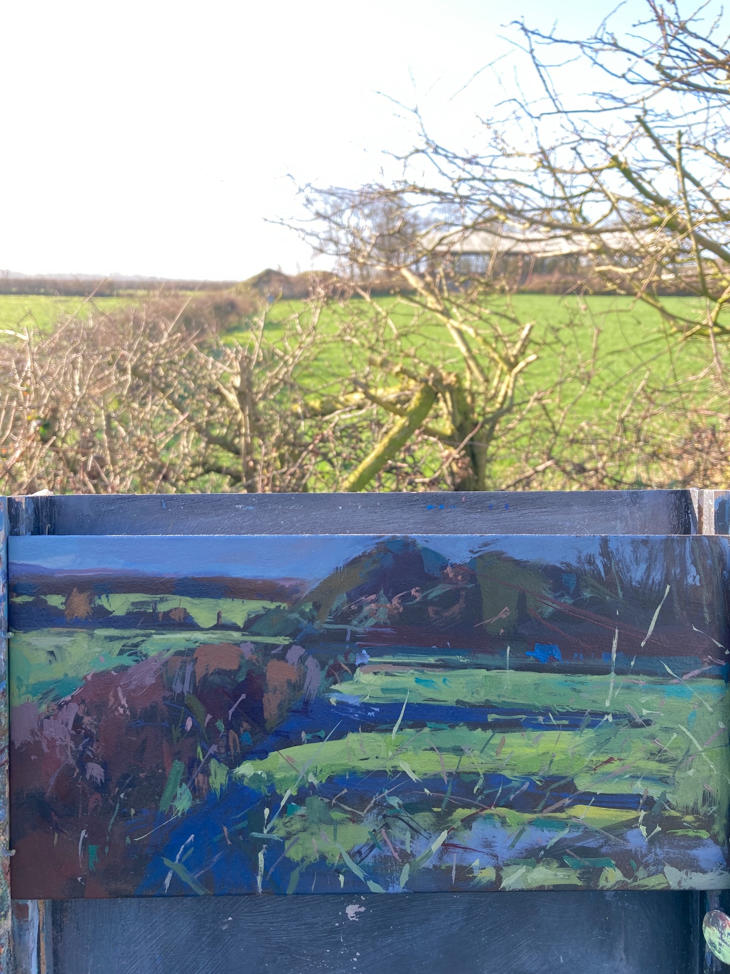 Sunrise was beautiful this morning with a frost of long blue shadows. This view was looking over our hedge with yellow hammers, a cockerel, curlews, and rooks calling. Definitely feeling spring like. A squadron of pink footed geese were flying north too.
#enpleinair #frostedmorning #brokenhedge #cumbrianlandscape #landscapeartist