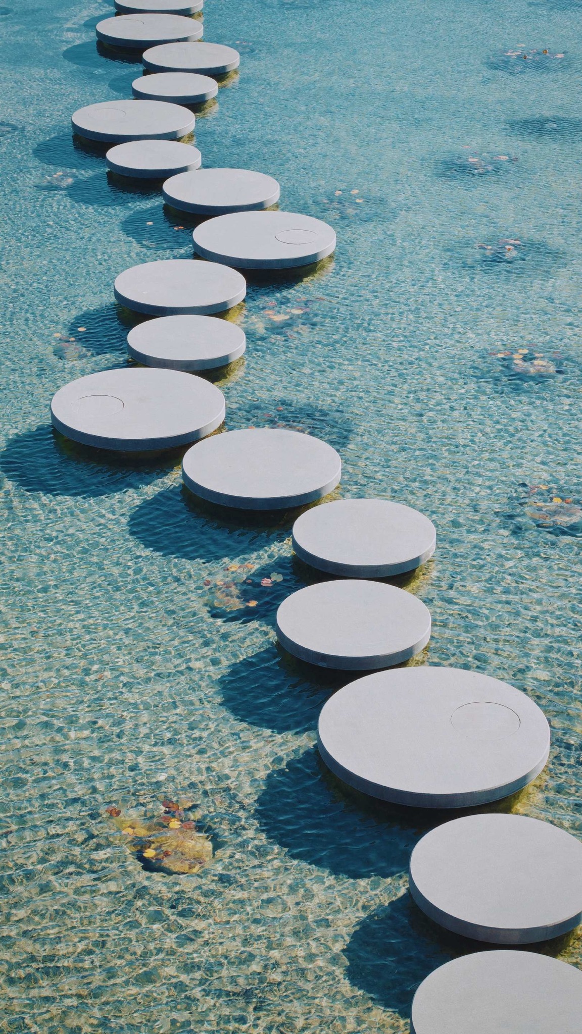 La philosophie du Kaizen, autrement dit la théorie des petits pas, est la meilleure façon d'accéder à tout changement pérenne. Intégrer l'évolution à son rythme, sans jugement, pas à pas et s'améliorer jour après jour.
Chez Évoléoz, nous suivons ce chemin dans chacune de nos pratiques en transformant chaque défi en opportunités et en abordant une évolution pérenne.
Et vous, vous connaissiez la philosophie japonaise du kaizen ?
Je suis Christel Bellier, fondatrice et dirigeante d’Évoléoz - Contactez-moi au 06 80 25 09 59 - contact@evoleoz.fr - evoleoz.fr
#SantéEtBienÊtre #therapiesdouces #cabinetbienetre #osezetresoi