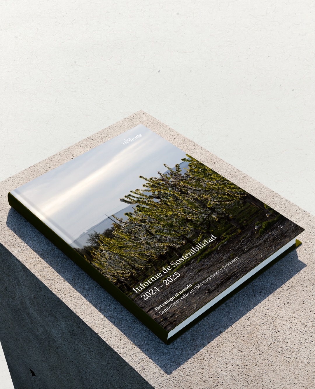 Diseño informe anual de sostenibilidad
Les presentamos el resultado de este Informe de Sostenibilidad.
Desde la conceptualización gráfica hasta el desarrollo de cada lámina, trabajamos para traducir datos, métricas y compromisos en una narrativa visual clara, coherente y con propósito. Diseñamos una estructura que ordena la información, potencia los indicadores y comunica impacto de manera honesta y estratégica.
Creemos que la sostenibilidad también se diseña: en cómo se estructura la información, en cómo se visualizan los avances y en cómo se construye confianza a largo plazo.
Gracias por permitirnos ser parte de este proceso y transformar la información en comunicación.
🍎