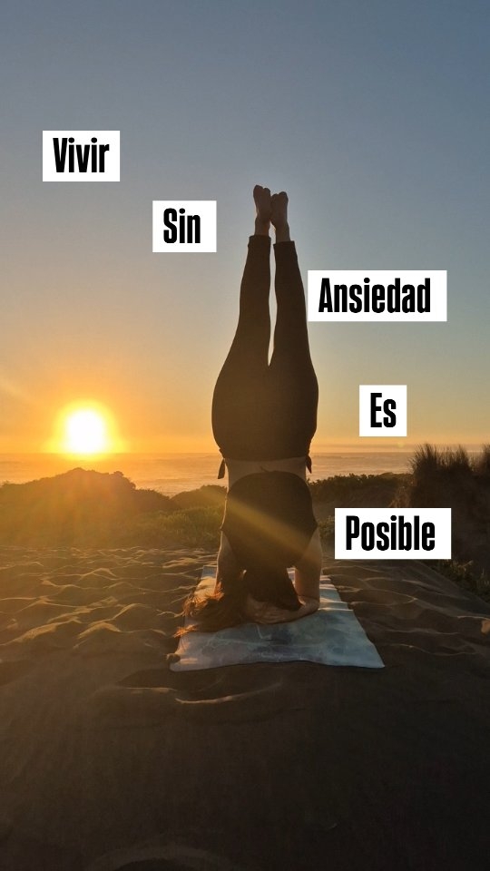 La meta no es el lujo, es la paz. 🌊✨
Un sistema nervioso regulado es el filtro que hace que la vida se vea (y se sienta) mejor. 🧠🤍
Regulas tu sistema nervioso y, de pronto, el mundo deja de ser una amenaza. 🌿
Aprende a leer los mensajes de tu cuerpo conmigo
Tips diarios en mis historias y feed. ✨
#SistemaNervioso #Bienestar #SaludMental #Calma #Autocuidado