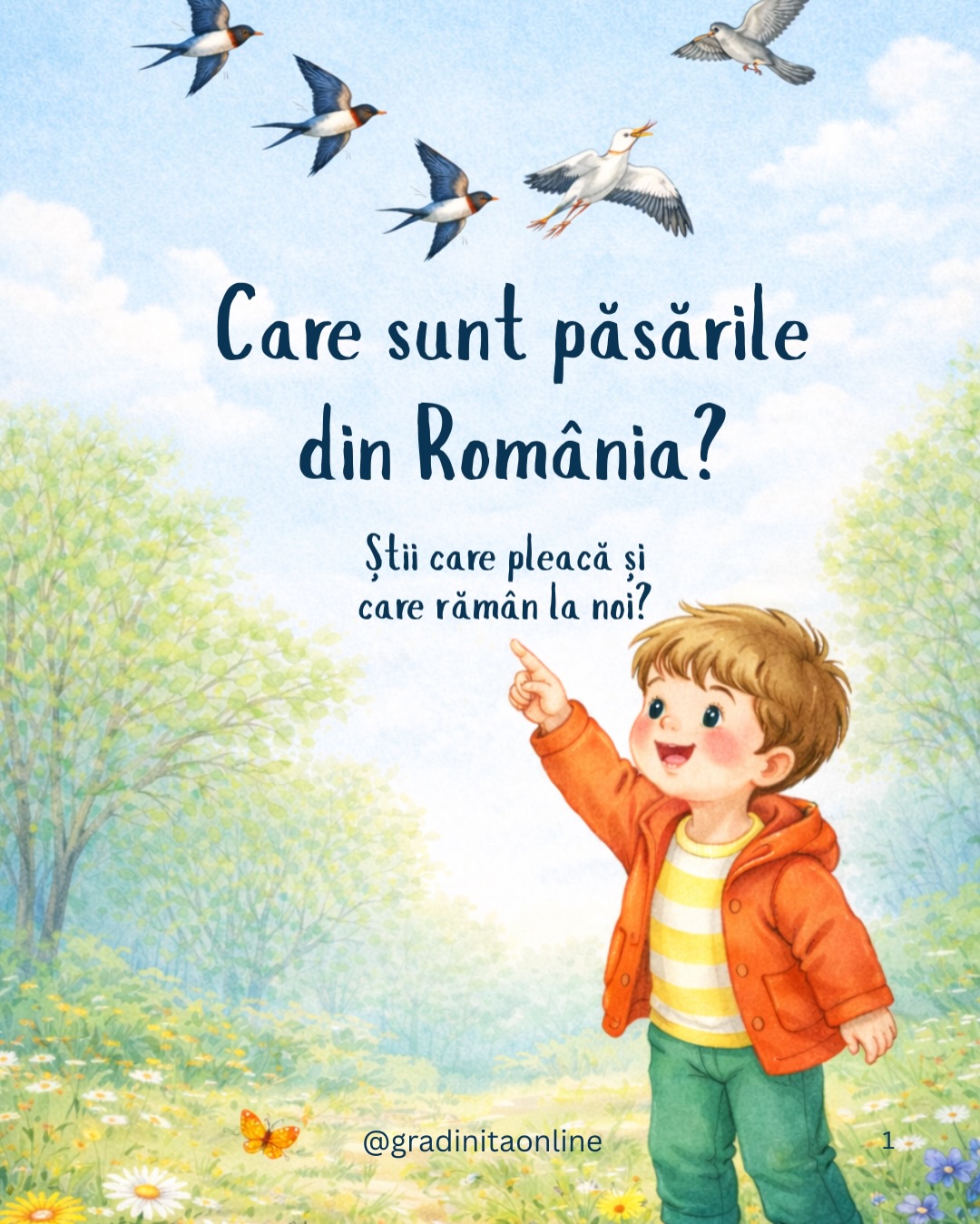 Care sunt păsările care se găsesc în România?
#gradinitaonline #pasari #vreausastiu