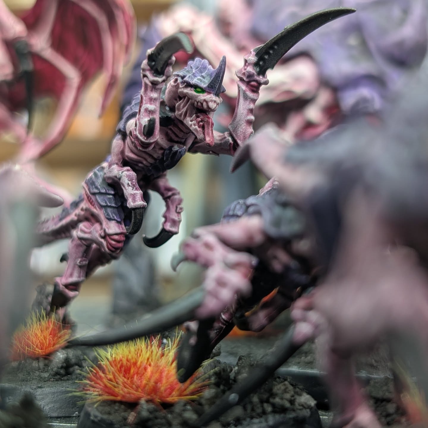 Can't forget to get the little series of close up shots before I move on. This guy reminds me of my cat, when he jumps up at my leg awaiting his dinner. That's really where the similarities end, thankfully. Otherwise I'd be asking some serious questions to the cattery, as to the origins of my cat