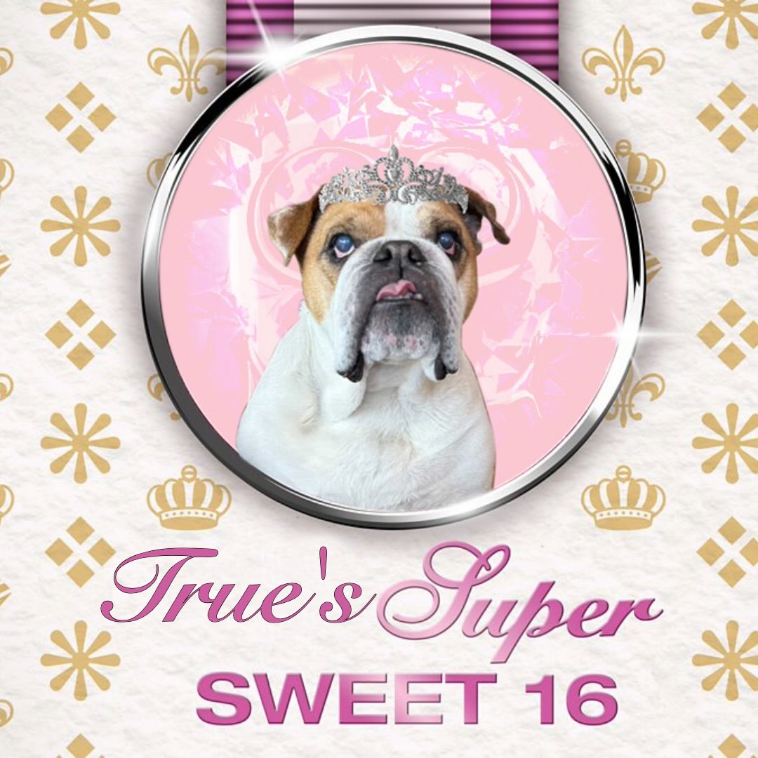 👑Super Sweet Flash Day 👑
You’re cordially invited to our Super Sweet 16th Birthday flash day on Saturday April 4th, 11am - 6pm ✨
There’s going to be lots of super cool available flash, cake, prizes and goodie bags.
Flash drop is happening super soon.
To rsvp simply dm us or call the shop on 02079980707.
Presents not mandatory but welcomed 😊
Hope to see you there ✨
#birthday #flashtattoo #flashday #londontattoo #tattoo