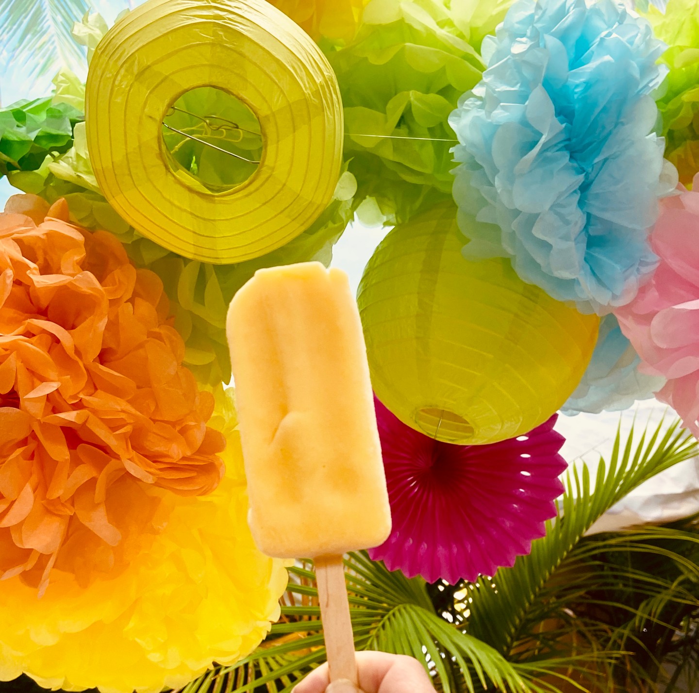 Our award-winning paleta pops are made with whole, fresh fruit for a burst of real, juicy flavor in every bite. No shortcuts—just pure, delicious happiness on a stick! 🍍✨ Come taste what makes them a winner!
#kentislandmd #madeinmaryland #vegan #wholefruit #dairyfree #paleta #paletachampion #2023champion #nationalchampion #pop #popsicle #wholefruit #madeinmd #ilovetastytoucan