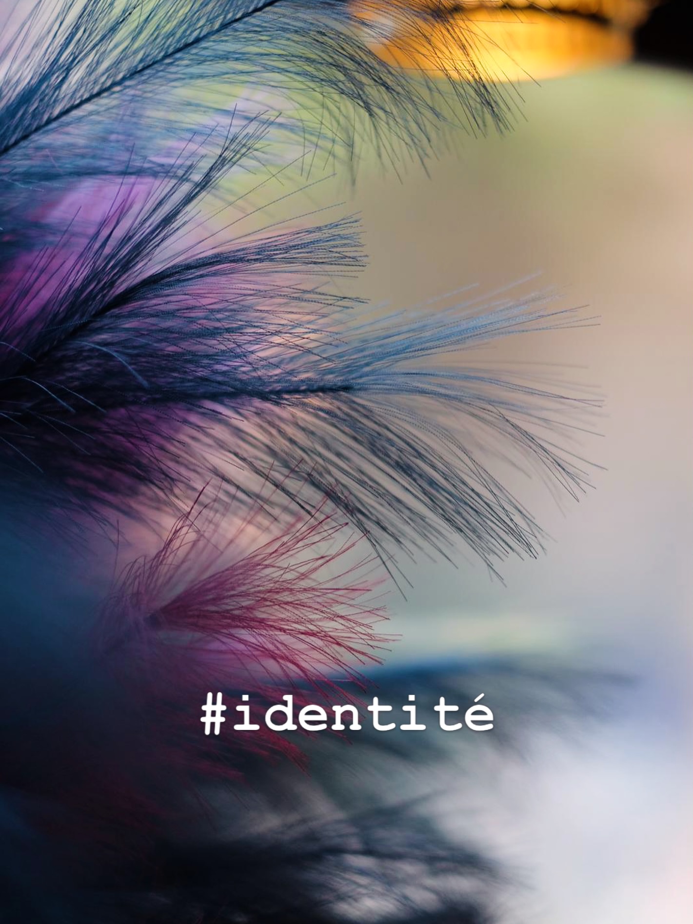 Visit us here : www.limprimeriebeaune.fr
Lien en bio !