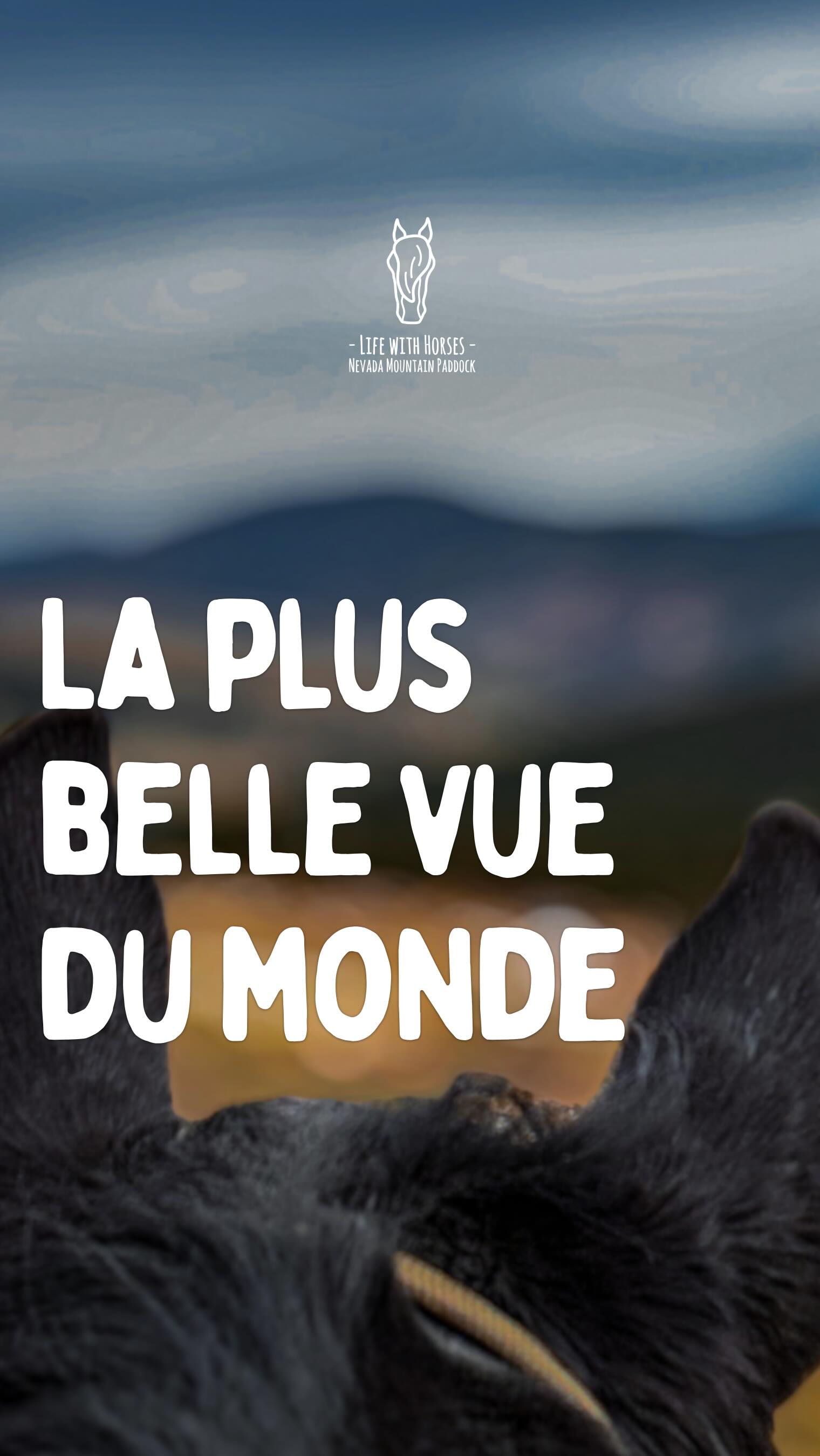 Avoue que la plus belle vue du monde, c’est toujours au dessus de ses oreilles (\_/)
Le Voyages Immersif, c’est ton expérience personnalisée. Pas au milieu d’un groupe d’inconnus, juste avec tes proches, tes amis.
N’importe quand, dès tu en as besoin pour déconnecter, te recentrer, te ressourcer. Tu nous écris, on t’organise ton Voyage, peu importe la saison. Tu n’as pas besoin de t’adapter à un catalogue de rando, c’est toi qui nous donnes tes dates.
Prêt à te lancer dans l’aventure?
🇬🇧 Admit it… the best view in the world is always right above two ears (\_/)
The Immersive Journey is a fully personalized experience.
Not in the middle of a group of strangers — just with your friends, the people you love.
Whenever you feel the need to disconnect, slow down and recharge.
Just send us a message and we’ll organize your journey.
Any season.
You don’t have to adapt to a fixed tour schedule —
you choose your dates.
Ready to start the adventure?
🇦🇩 Admet-ho… la vista més bonica del món sempre és just damunt de dues orelles (\_/)
El Viatge Immersiu és una experiència totalment personalitzada.
No enmig d’un grup de desconeguts — només amb els teus amics o les persones que estimes.
Quan sentis la necessitat de desconnectar, recentrar-te i reconnectar amb la natura.
Només cal que ens escriguis i organitzarem el teu viatge.
En qualsevol època de l’any.
No t’has d’adaptar a un calendari de rutes:
tu tries les teves dates.
Preparat per començar l’aventura?
#voyageimmersif #ridewithconnection #horsetravel #pyrenees #horseriding