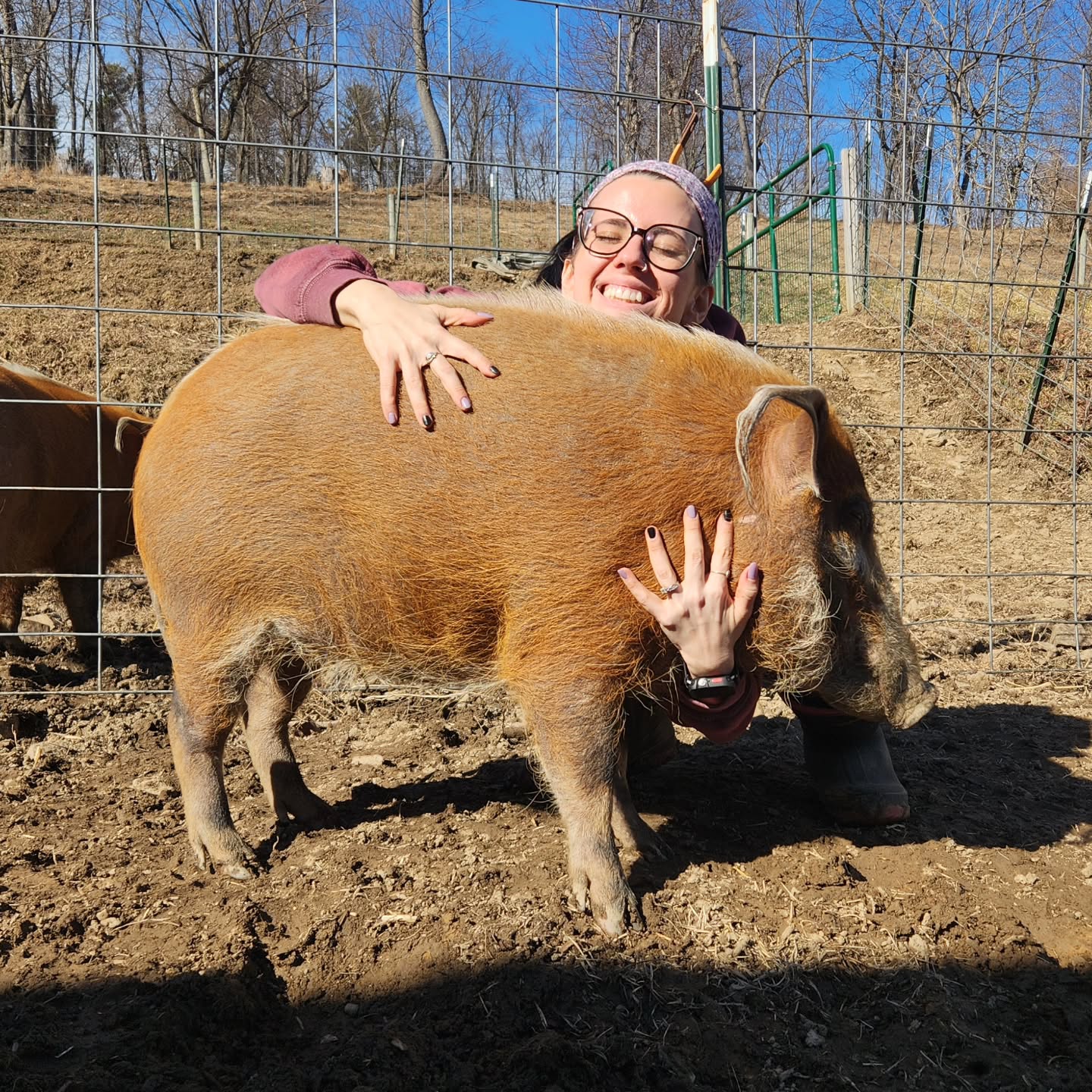 Hug a pig. It'll make any sad day better.
@bitchbarn.pig.sanctuary.pa #pigsofinstagram #piggy #oink #redriverhog #animalrescue