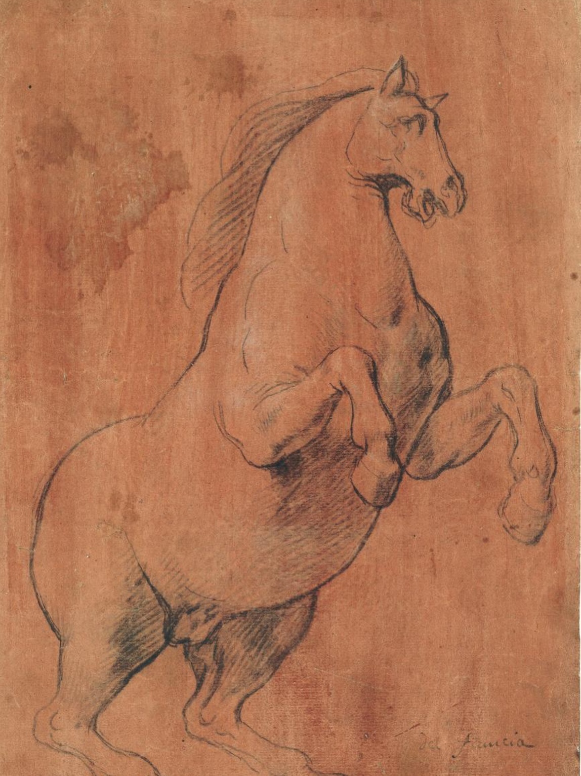 A tribute to the year of the horse.
Here’s our study by Genoese painter Lazzaro Tavarone (1556–1641) for a rearing horse in the quadriga of Apollo, a fresco located in the former Palazzo of Doge Ambrogio Doria, today the seat of the Banca di Roma, Genova. It is most likely based on the type of small-scale clay or bronze models of horses that were frequently used in artists’ studios, and is executed in Tavarone’s characteristic technique in chalk on red prepared paper.
#chinesenewyear #yearofthehorse #oldmasterdrawings @salondudessin #horse #italiandrawing