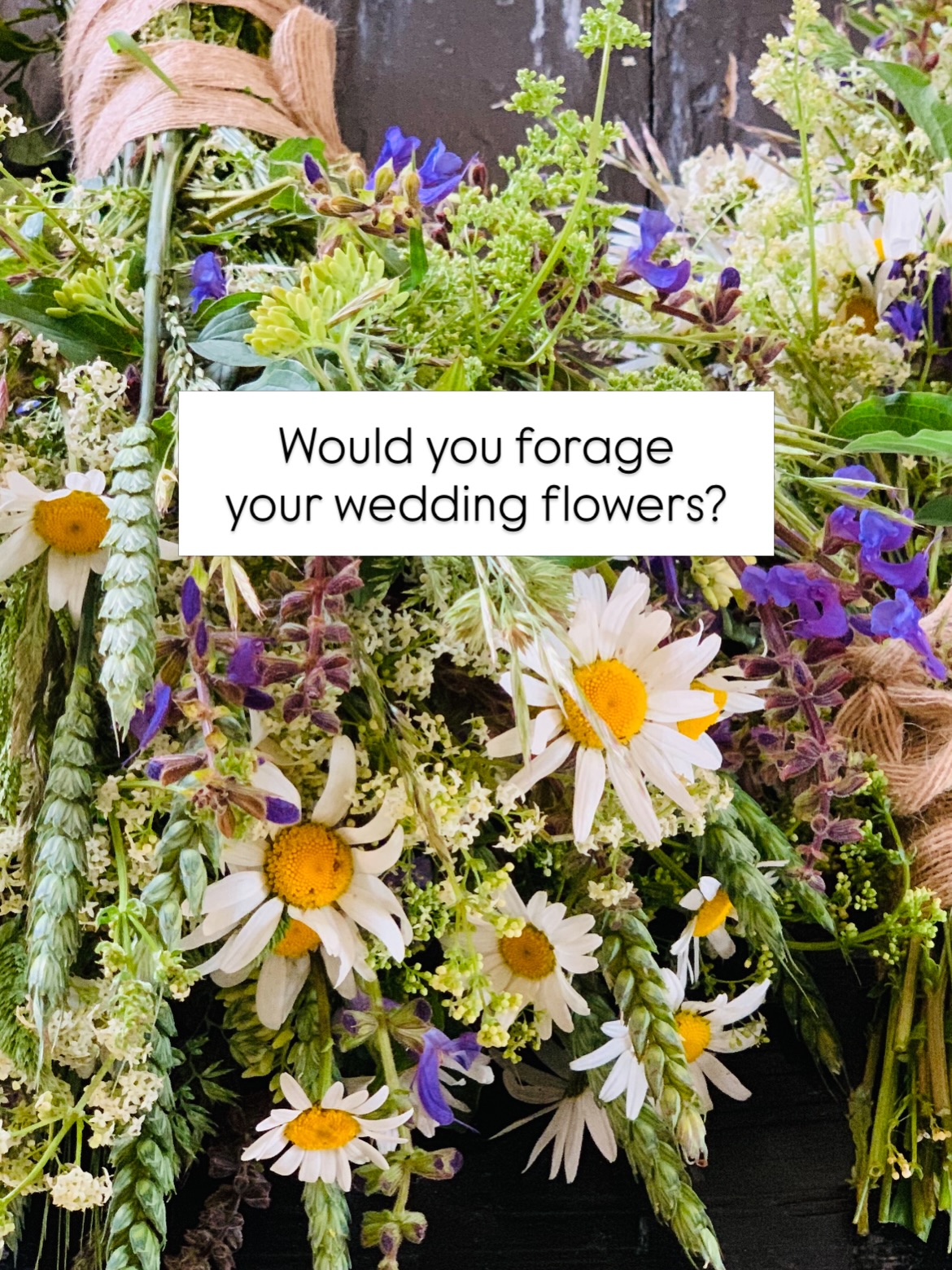 Seven years ago, I decided to forage my own wedding flowers.
Not just to save money — although it did.
I wanted something seasonal and local.
But that meant taking a risk.
I was nervous.
I worried about wilting. I worried there wouldn’t be enough variety in the meadow. I worried it might look unfinished.
So I did a lot of research beforehand. I experimented. I planned.
On the day, there was no florist safety net. Just buckets, wild stems, and a few steady friends and family beside me.
What I didn’t expect was how meaningful it would become.
The gathering itself became part of the celebration. It brought everyone together in a way imported bouquets never could.
It wasn’t perfect. It was seasonal. It was rooted in place. It was ours. In the end, it was the most effective way to create a celebration that truly felt like us.
If you’re considering doing the same, I wrote the practical guide I wish I’d had — with legal guidance, seasonal planning, safety notes, and sustainability principles woven through.
Comment GUIDE and I’ll send you the link 🌿