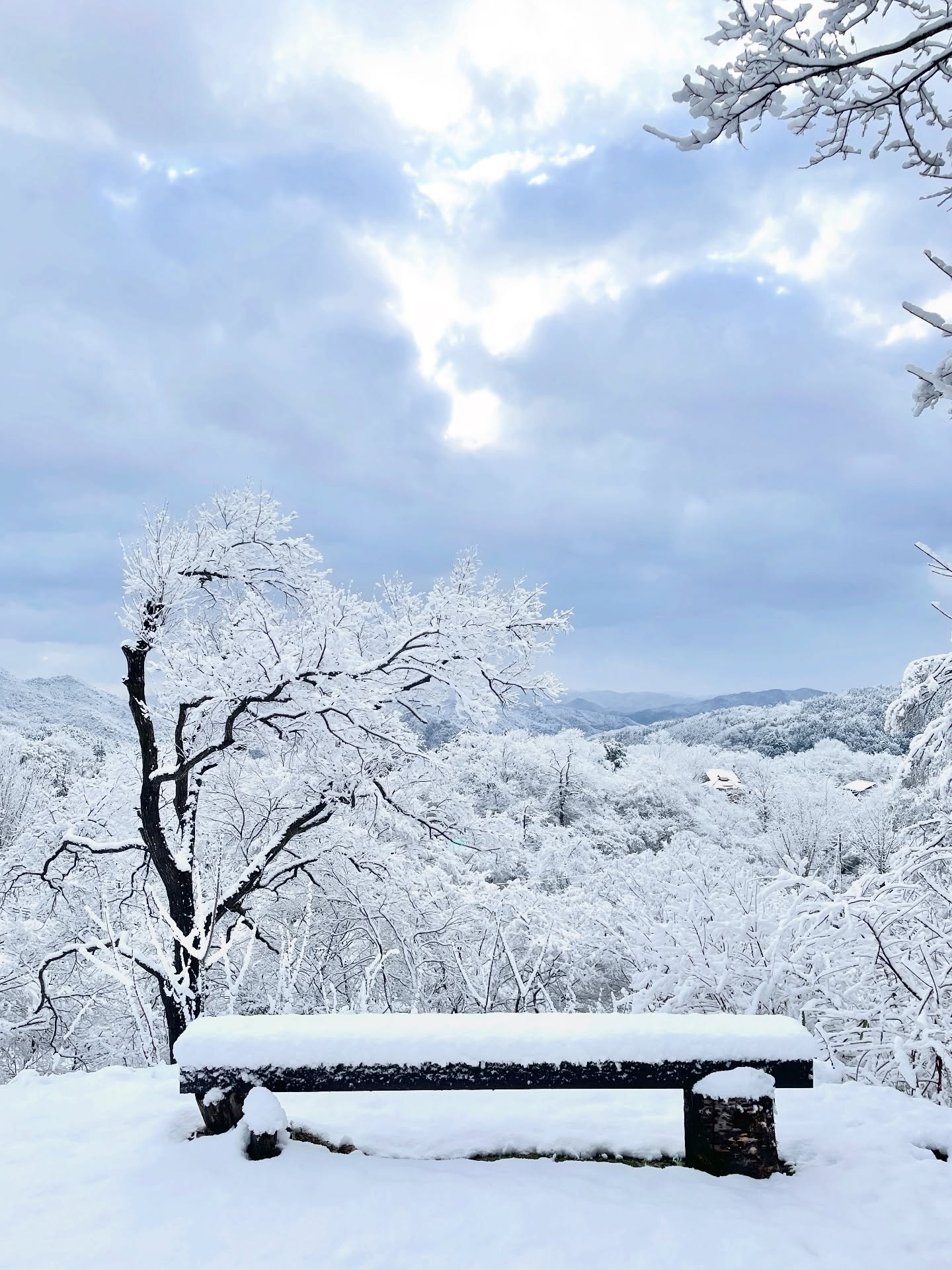 .
シーズン最後の雪景色?
今朝は寒の戻りで、また雪化粧された神鍋高原です。
数日暖かい日が有ったので寒さが身体にしみますが、
やはり雪景色は良いものですね。
先日3月議会が開会され、門間市政初の当初予算には
大きな子育て支援など多くの事業が提案されています。
来週からは一般質問もはじまりますので、
頭の整理の日曜日。
集中して作業する時間と、リフレッシュする時間を設ける方が
結果として生産性は高まるようですので、
メリハリつけて取り組んでいこうと思います。
豊岡市の子どもたちはスキーリフト券が1000円の日曜日
現在は奥神鍋スキー場のみの営業となっていますが、
ぜひこの機会に雪景色を楽しみにお越しください*
※路面の雪は少ないですがご注意を
※道の駅 神鍋高原は改修工事を行なっていますが
パン屋さんを含めお土産も飲食も温泉も営業しておられます。
#神鍋高原
#雪景色
#飛んでるローカル豊岡
#山陰海岸ジオパーク
#わおじお