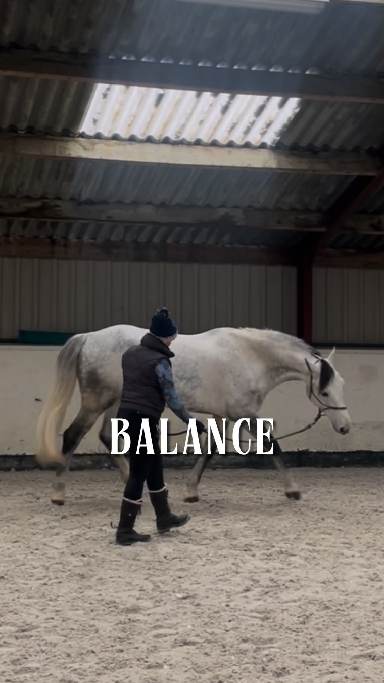Want to learn more?⬆️
💭Comment “BALANCE”
#horsemanship #hjmmethod #horsemanshipacademy #horsemanshipjourney #horsemanshiptraining