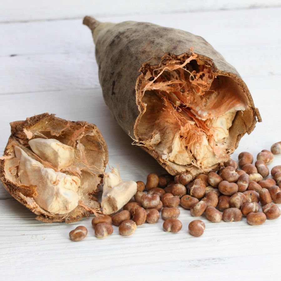 Prevent African superfoods for your skin!
marula:
Rich in amino acids, antioxidants, and essential minerals.