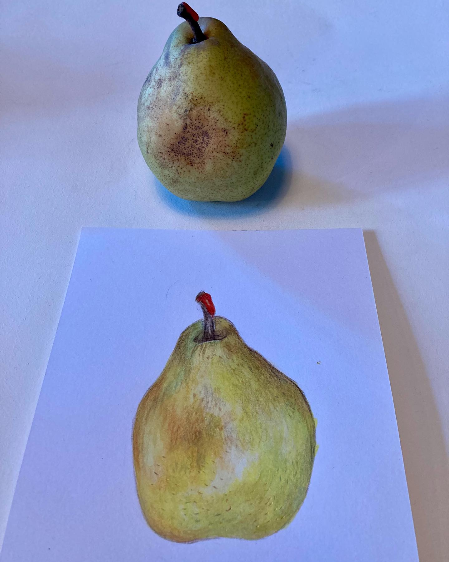 La poire, selon la Diététique Chinoise!
Un dessin perso, ma recette préférée!
Savez-vous qu’en Chine, où la population est très superstitieuse, il est très mal vu de vouloir partager une poire avec quelqu’un? Cela veut dire qu’on veut le quitter ou s’en séparer! Pas mieux chez nous, lorsqu’on dit de quelqu’un qu’il est « une bonne poire ». C’est oublier ses nombreux bienfaits!…
La poire est de nature fraîche. Comme de nombreux fruits, elle est de saveur douce et acide: cela va permettre de produire les liquides, apaiser la soif, ce qui sera intéressant en cas de déshydratation, de perte importante de liquides après une forte fièvre, des diarrhées ou en cas d’hémorragies.
Elle sera surtout interessante pour humidifier la Sécheresse du Poumon, rafraîchir la Chaleur de celui-ci et transformer les glaires. Elle traite la toux sèche, l’asthme, la gorge douloureuse, la trachéite, l’aphonie. Elle traite aussi la Sécheresse du Gros Intestin et la constipation.
De plus, la poire protège le Coeur. Le jus de poire, connu sous le nom de « Boisson de la douce rosée produite par le ciel » va pouvoir traiter l’hypertension artérielle, prévenir les maladies cardiaques, la cirrhose du foie et certains cancers. Cette boisson sera aussi intéressante pour calmer l’Esprit!
La poire est riche en vitamine À, B, C et E, acide folique, mais surtout en potassium qui permet une meilleure élimination de l’acide urique par les urines, et d’atténuer arthrite et rhumatismes.
Attention toutefois de ne pas en abuser, en cas de toux chronique par vide de QI du Poumon (car elle rafraîchit), ni en cas de vide de Yang de la Rate et de syndrome de colon irritable!
Ma recette préférée: La salade d’endives, poires et bleu! (Recette sur mon blog, lien dans ma bio).
#poire #poires #pear #pera #alimentsanté #fruits #bienfaits #bonpourlasanté #toux #touxsèche #remèdesnaturels #alimentsquisoignent #dietetique #dietetiquechinoise #madreperlamtc