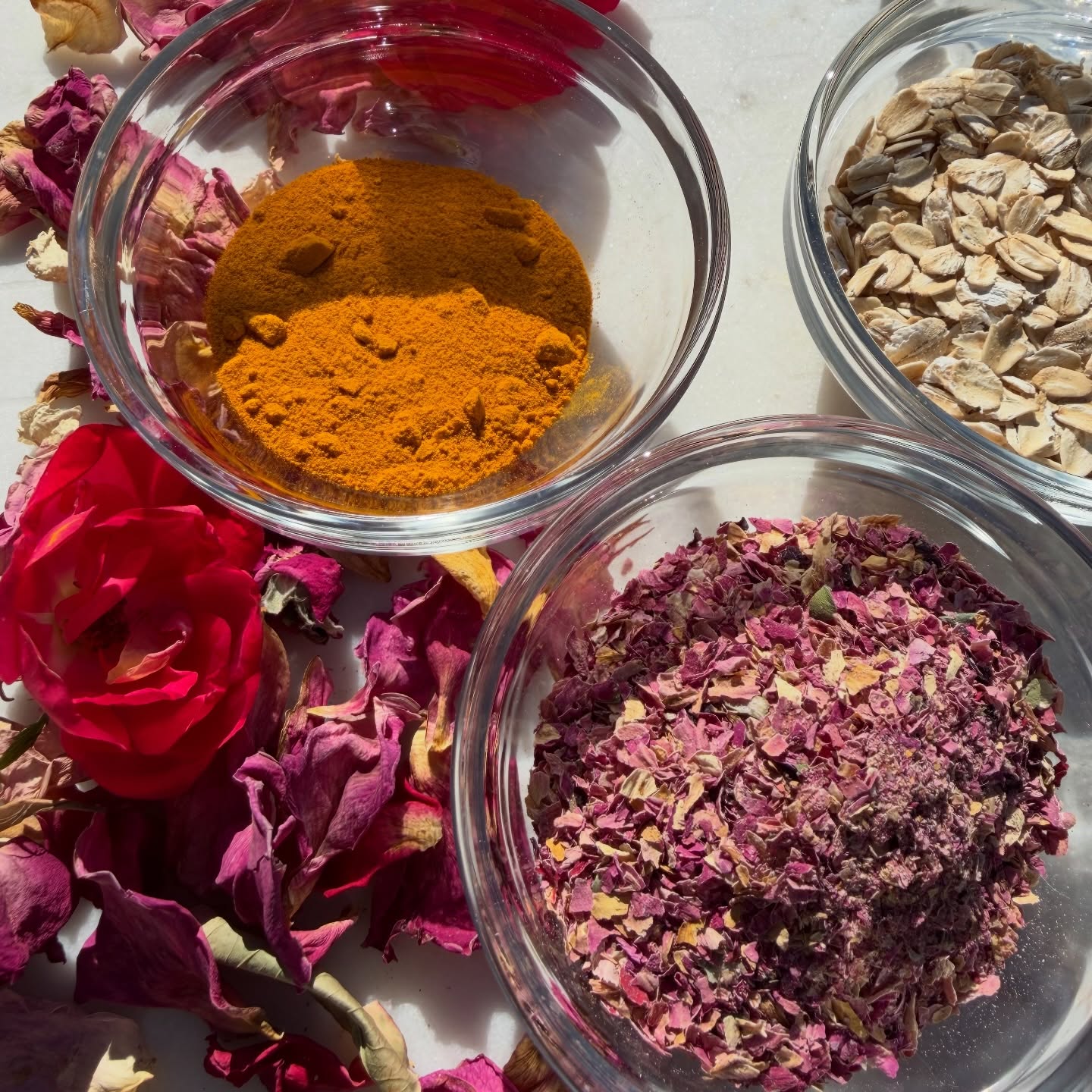 The 2026 herb of the year is Turmeric - It has become a superstar when it comes to wellness, showing up in everything from golden lattes to healing skin balms. It’s popularity is at an all time hight but this is not a new spice but in fact an ancient one with a rich history of uses. I just posted a blog with some skin care recipes on my site. The new HOY book is also out and can be ordered from @internationalherbassociation They will also be selling copies at @herbsocietyofamerica EdCon in April. DM me if you need more details on the book or event. Have a superstar day!