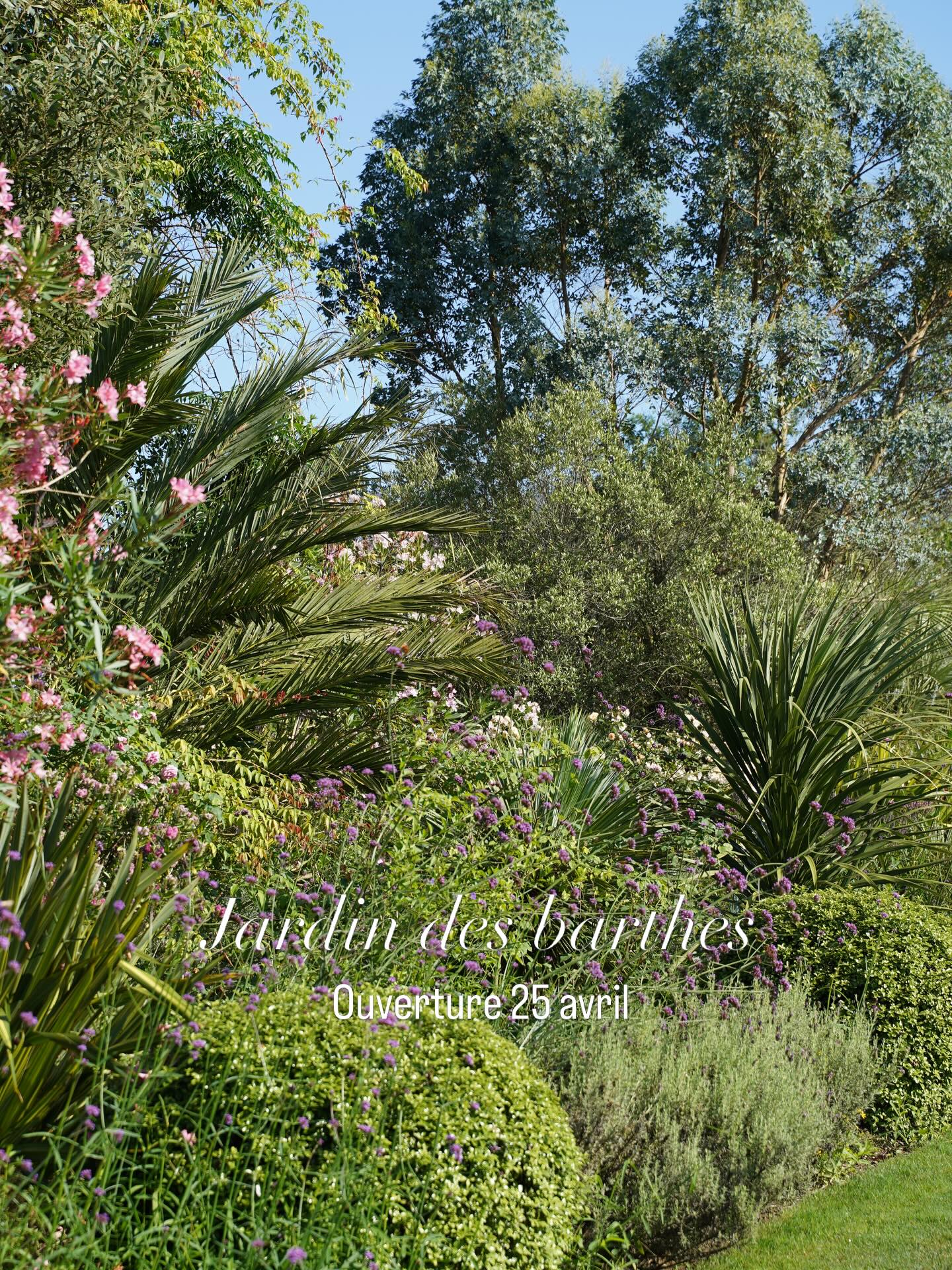 Le jardin des barthes ouvre le 25 avril à 14h30 nous travaillons tout ce printemps pour vous le rendre merveilleux🌴👨🌾❤️
#jardin #jardinremarquable #garden #tourismelandes #paysbasque