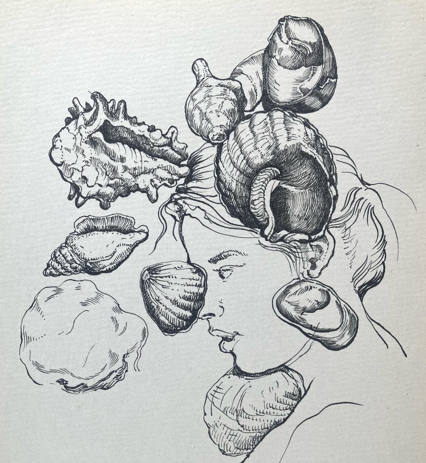 “Schelpenmeisje”, pentekening, 2026. #lifedrawing #printmaking #etching #figuredrawing #botanicalprints