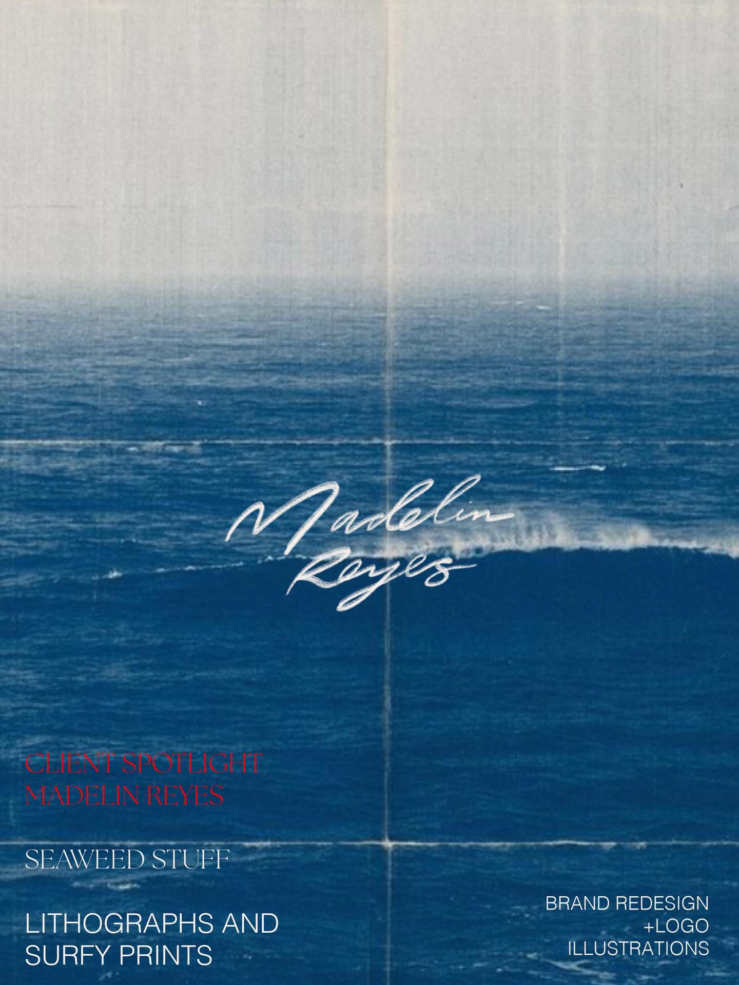 Branding that feels like a day in the water? Yes please.
Madelin and I bonded immediately over our love for seaweed (Magical World of Seaweed is an impeccable coffee table book) and it turned into this!
Beachy. Laid back. Lost in the details of the sea.
🪸🌀🌊
Does this give you good vibes or what?
@seaweedstuff