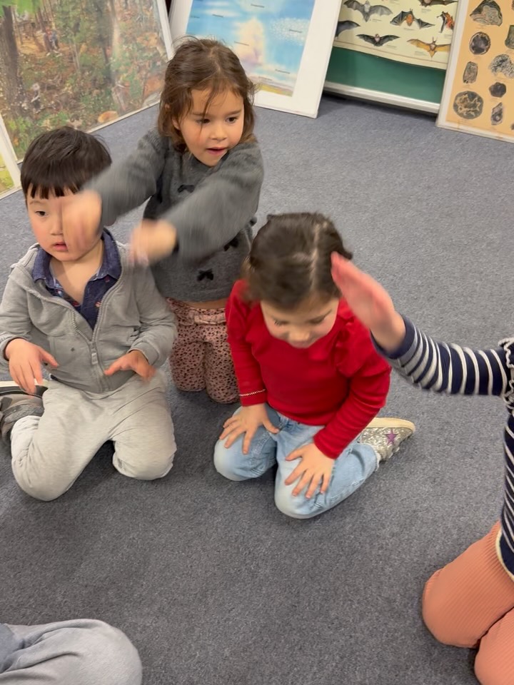 Our Twos and Threes are learning about sound waves in Science with Carolyn. Using their bodies and a slinky, the children explored making BIG waves and small waves. A tuning fork and feeling their throats as they talked helped them experience the word "vibration." Then they played a sound guessing game where they tried to identify the objects hidden in a canister by the sound they made.
**********************************
#LCDS
#LearningCommunityDaySchool
#PlayBasedLearning
#Preschool
#WestportCT