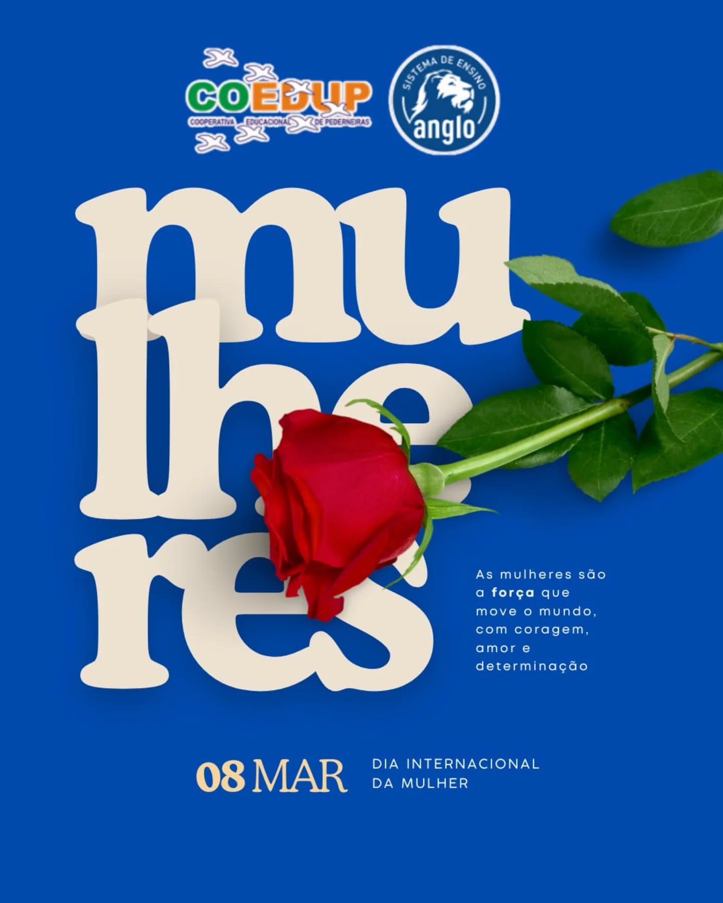 As mulheres são a força que move o mundo , com coragem, amor e determinação.
Feliz dia das Mulheres!