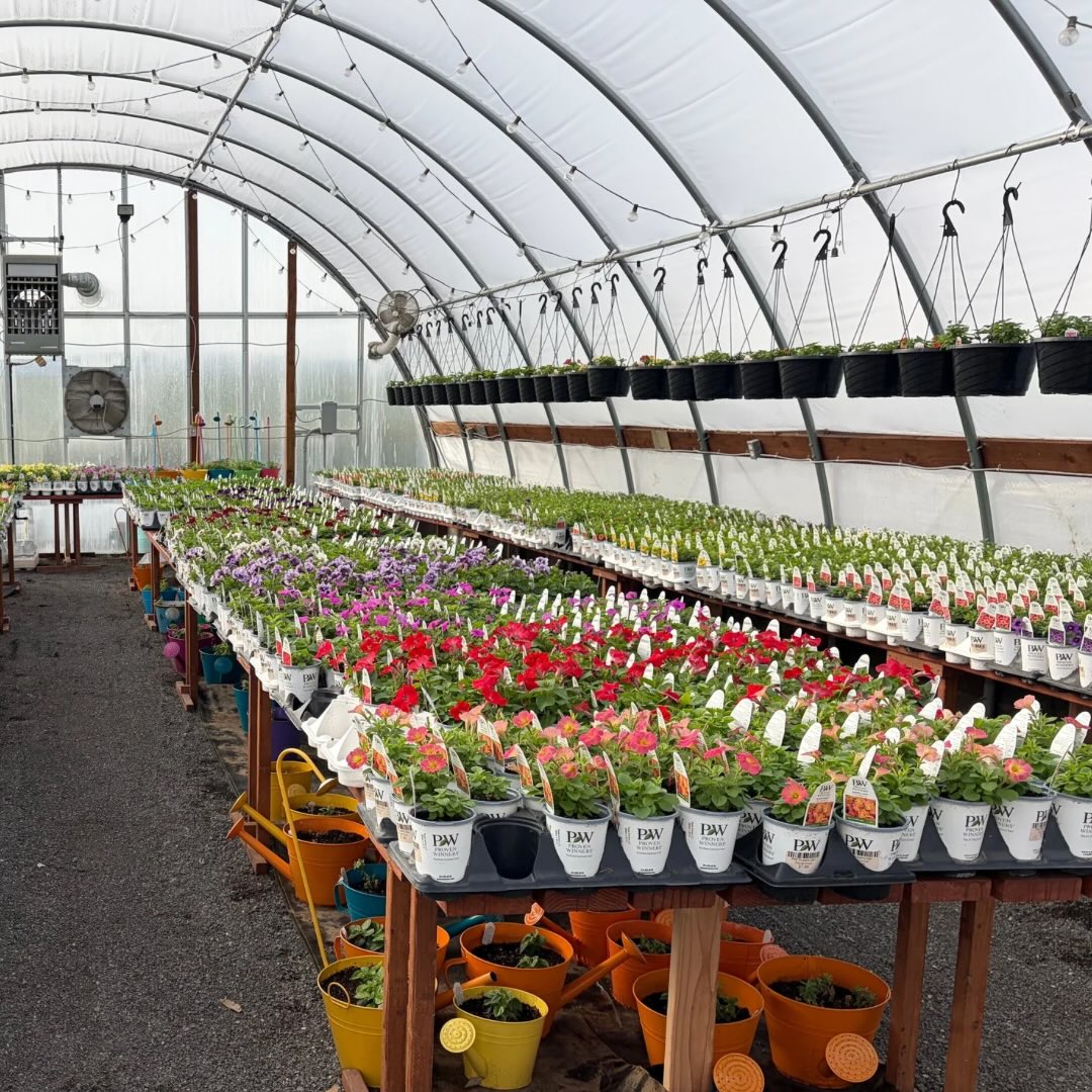 🌿 Opening weekend! 🌿 Color is starting to pop in the greenhouses and new textures are growing and more arriving every week! Come find insulation around every corner!
🪴 Enjoy 30% off select outdoor pottery this weekend!
🌸 Let your spring dreams turn into reality as you stroll 6 warm greenhouses ready for your spring dreams!