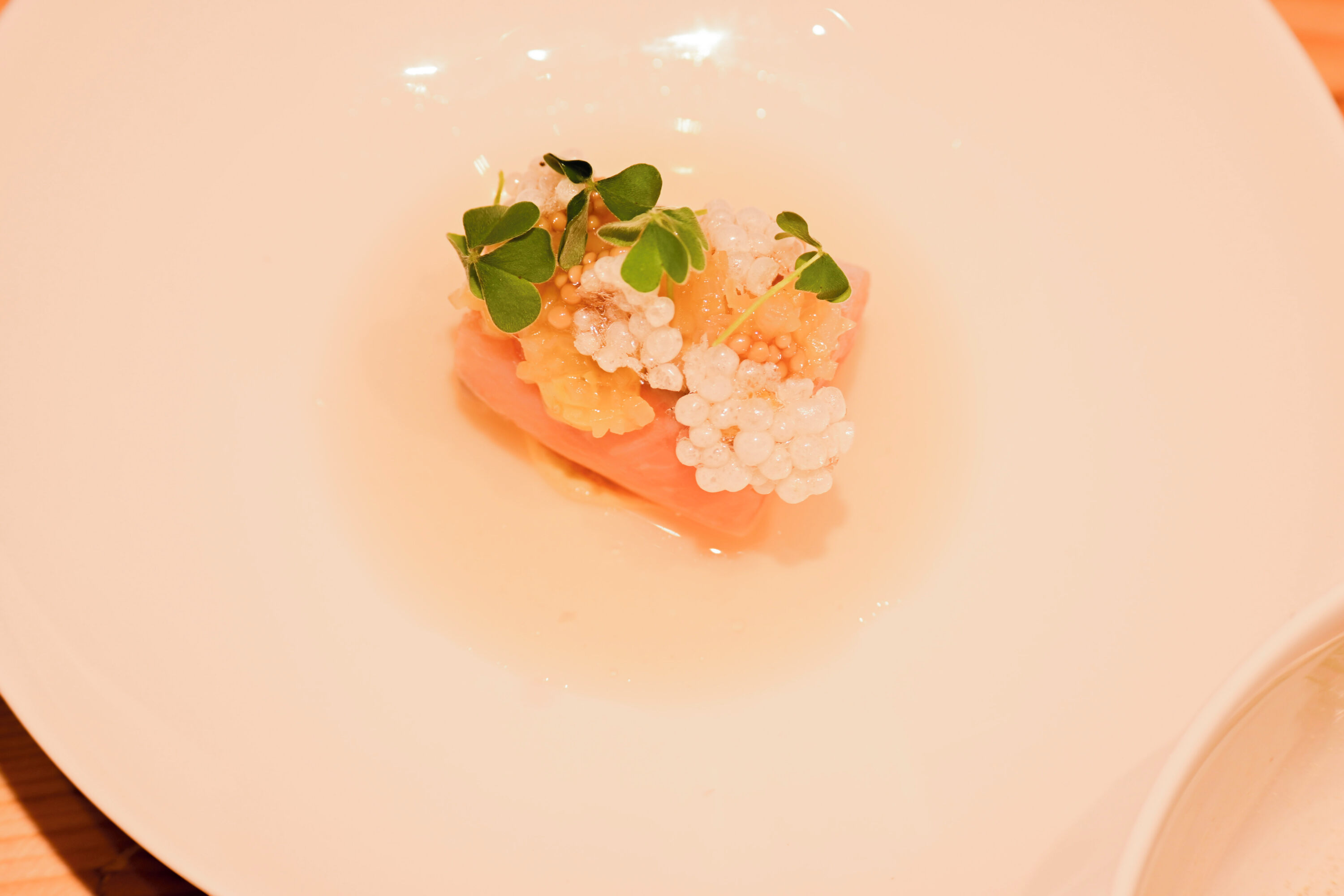 Gebeizter Saibling von der Bergfischzucht in Gunzesried I Vadouvan I Senfsaat I
grüne Mango I Tomate 💙🐇