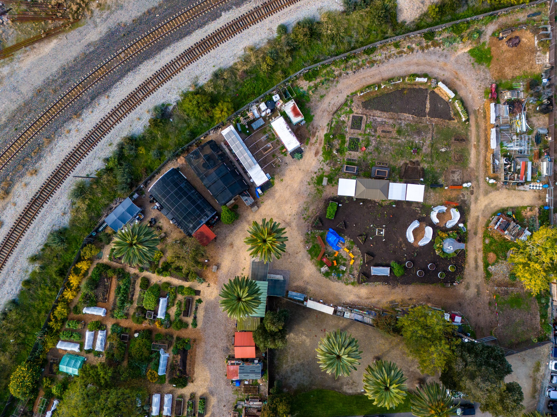 2026 is the year of Cultivating Minds at LEAF! We’re excited to welcome new partners to the LEAF Urban Farm, launch registration for our Students for LEAF summer program, and ramp up a full season of volunteer days, workshops, and community events this spring. 🌼 Click the link in our bio to read more and sign up!
Photo taken by @natebernardophoto
#studentsforleaf #eastbaygardening #fremontca #summerprograms #environmentaleducation #regenerativeagriculture