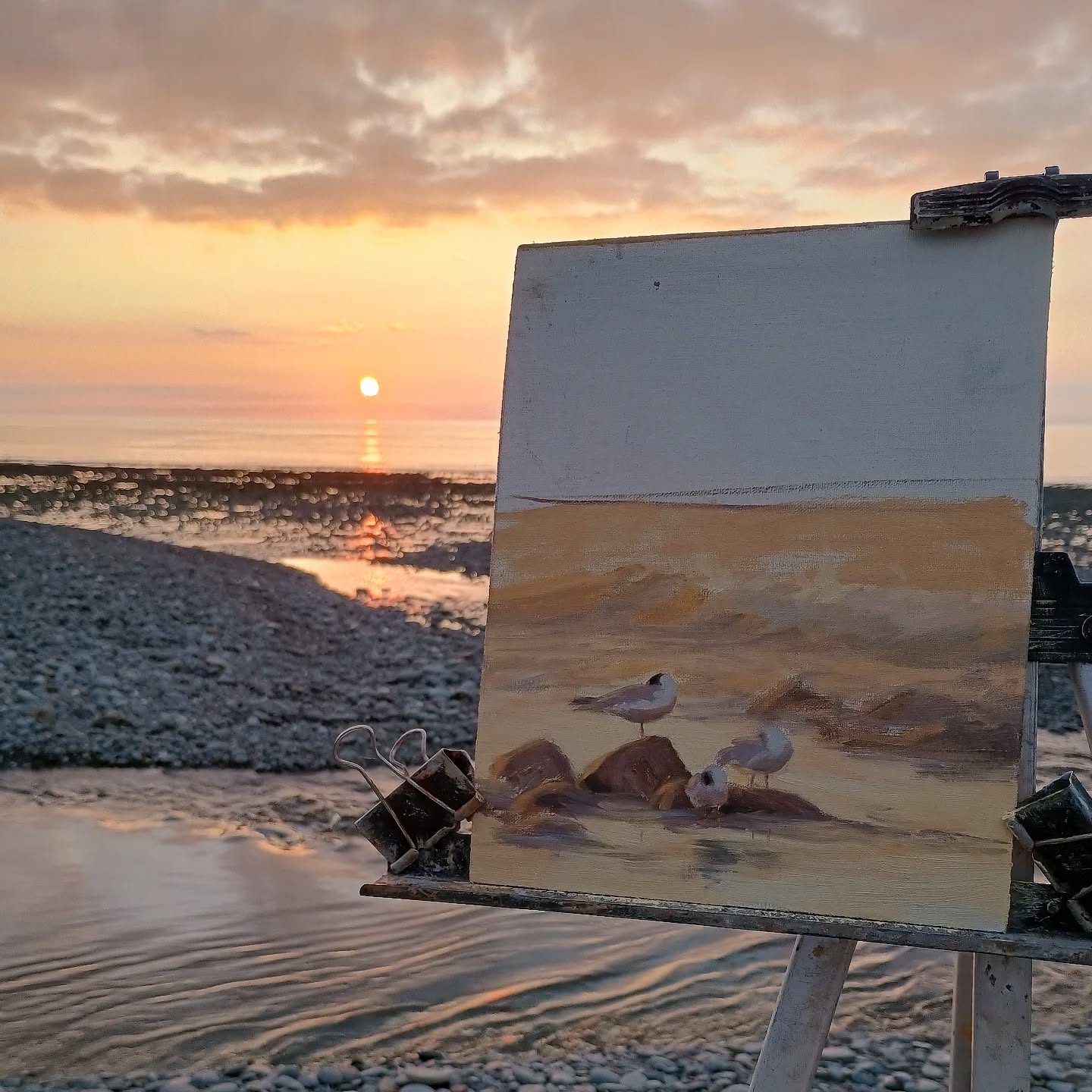 Spring is in the air at the beach :) heads are turning black and the air is warmer