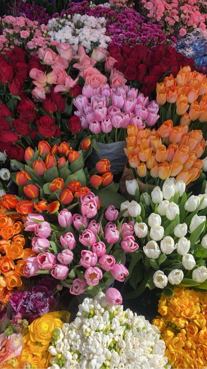 Bref on attend la livraison du dernier Fine Fleur 🥲🌸