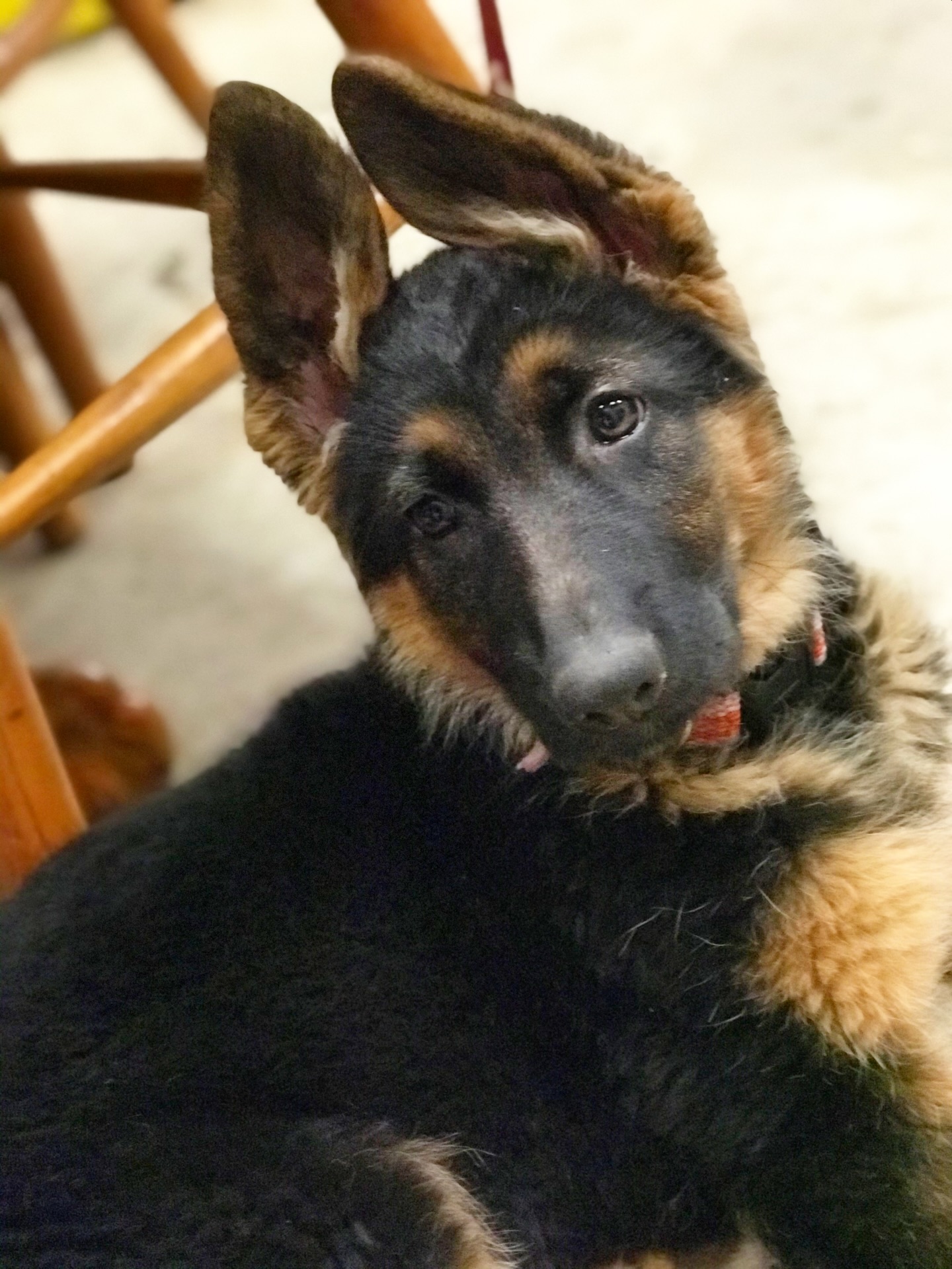 Throwback to baby Maggie 🥰