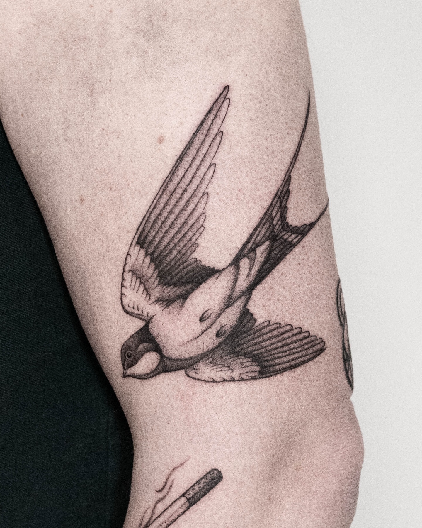Sometimes a full day session is filled with smaller tattoos. Thanks for the great session Rick. See you next time!
#eindhoventattoo #smalltattoo #swallowtattoo #birdtattoo #dutchtattoo