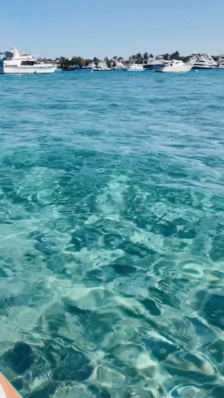 ARE YOU KIDDDINNNGGGG 🩵✨🌊
Ultimate flow state REACHED I feel so inspired from it I can’t wait to paint something inspired from it, things are brewing in my head on how I want to accomplish this 🤭
Waterproof bags always by @breakwatersupply
Wearing @thehoneyswim suit and turquoise snorkel
Watch by @freestylewatches
#gatoradewater #peanutisland #southflorida #coastaldecor #paddleboard