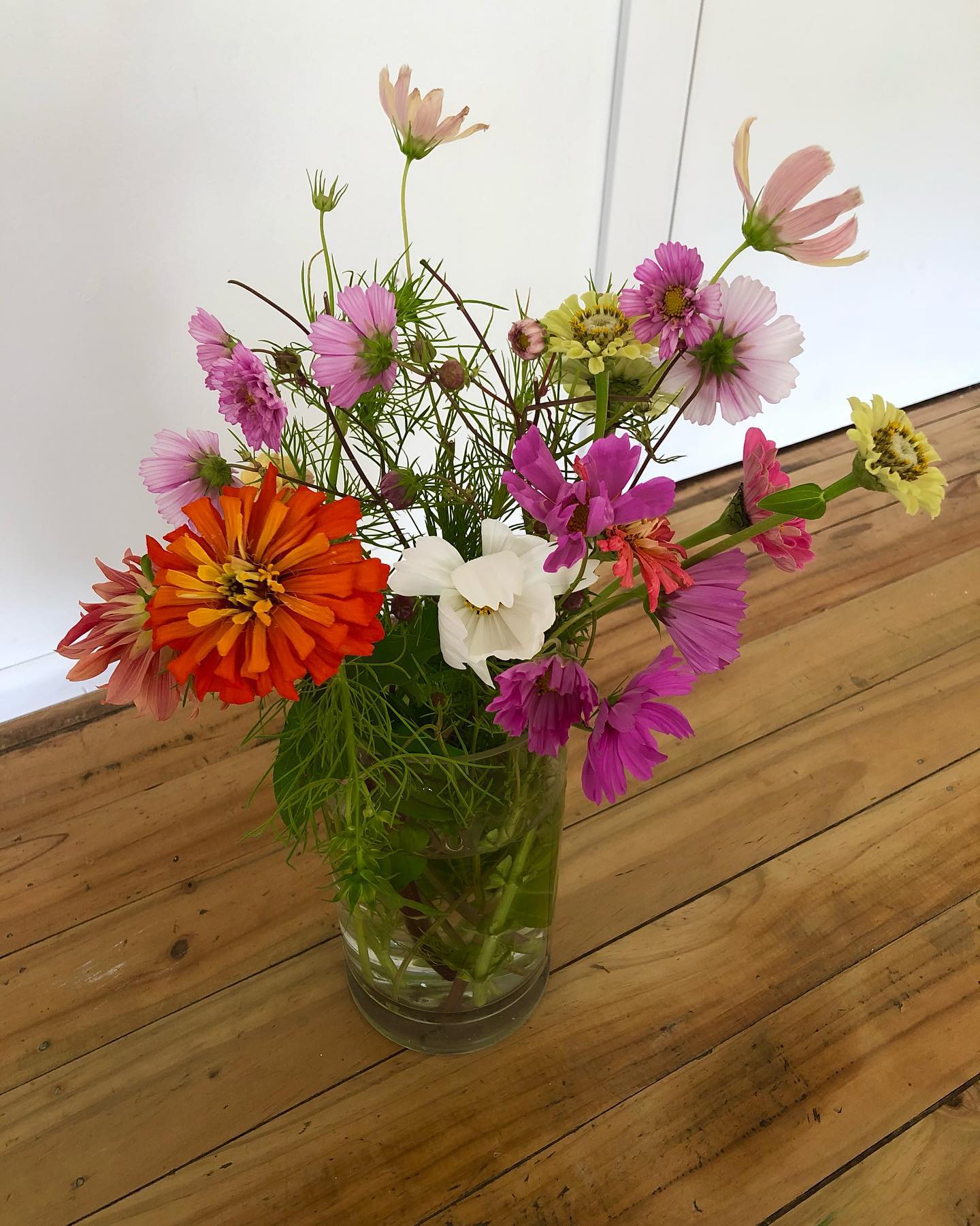 Such a lovely Saturday morning handpicking these flowers from @slowbloomsnz 💖🥰