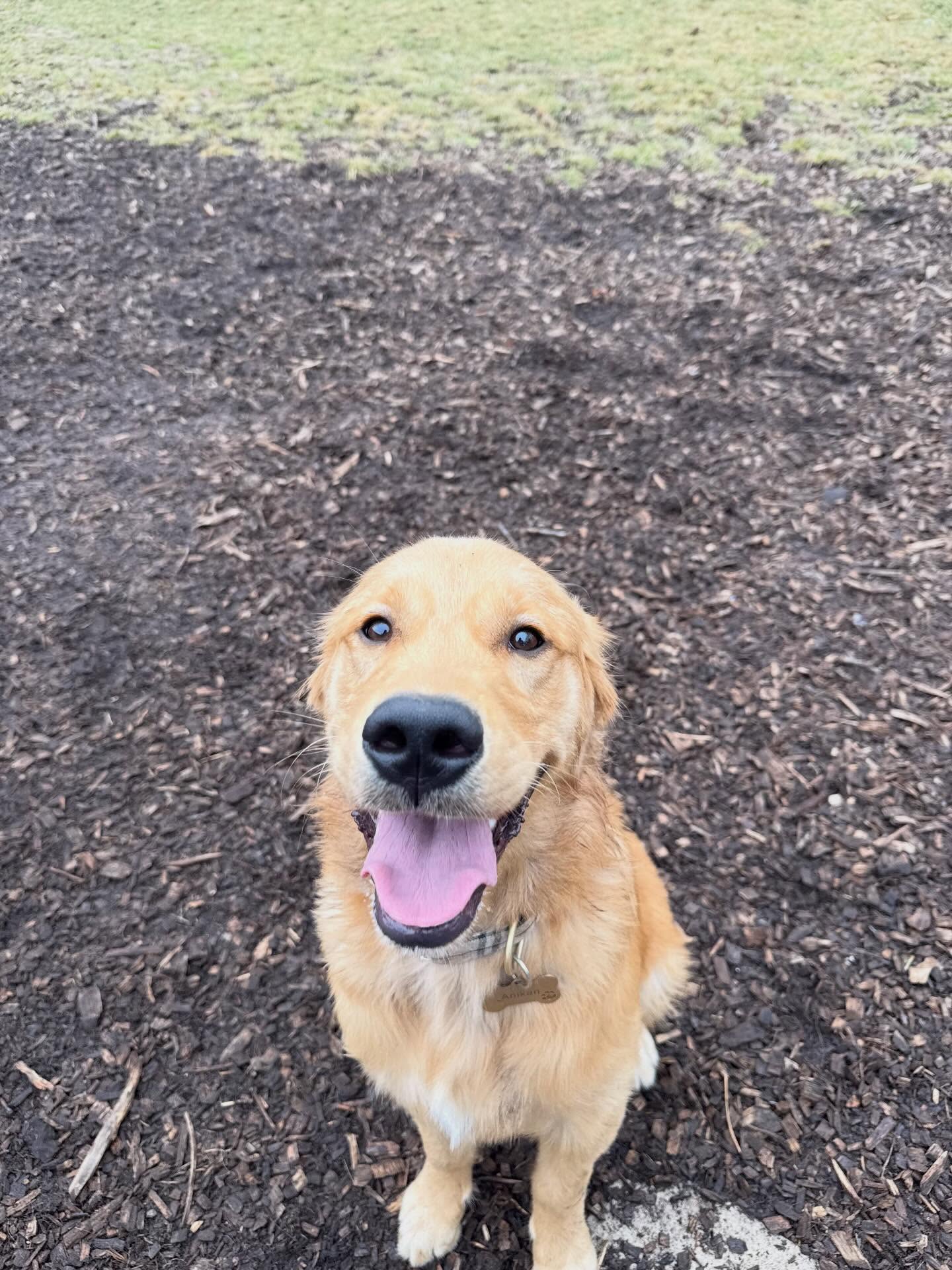 Spa day… but make it mud.