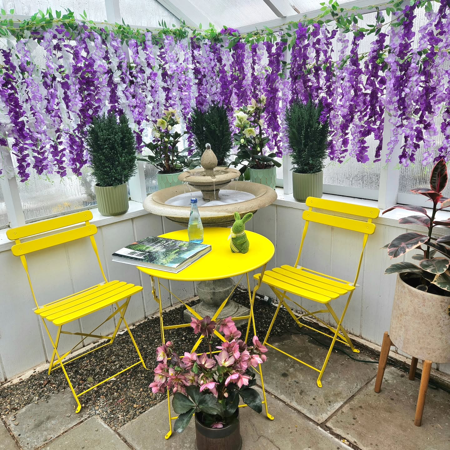 The re-imagining of our front entrance to accommodate the strengthening spring sun is still a work in progress, but with the arrival of these gorgeous hellebores we thought it was the perfect time to share a sneak peak!
#colonialgardens #greenhouselife #workinprogress #design #fairfieldcounty