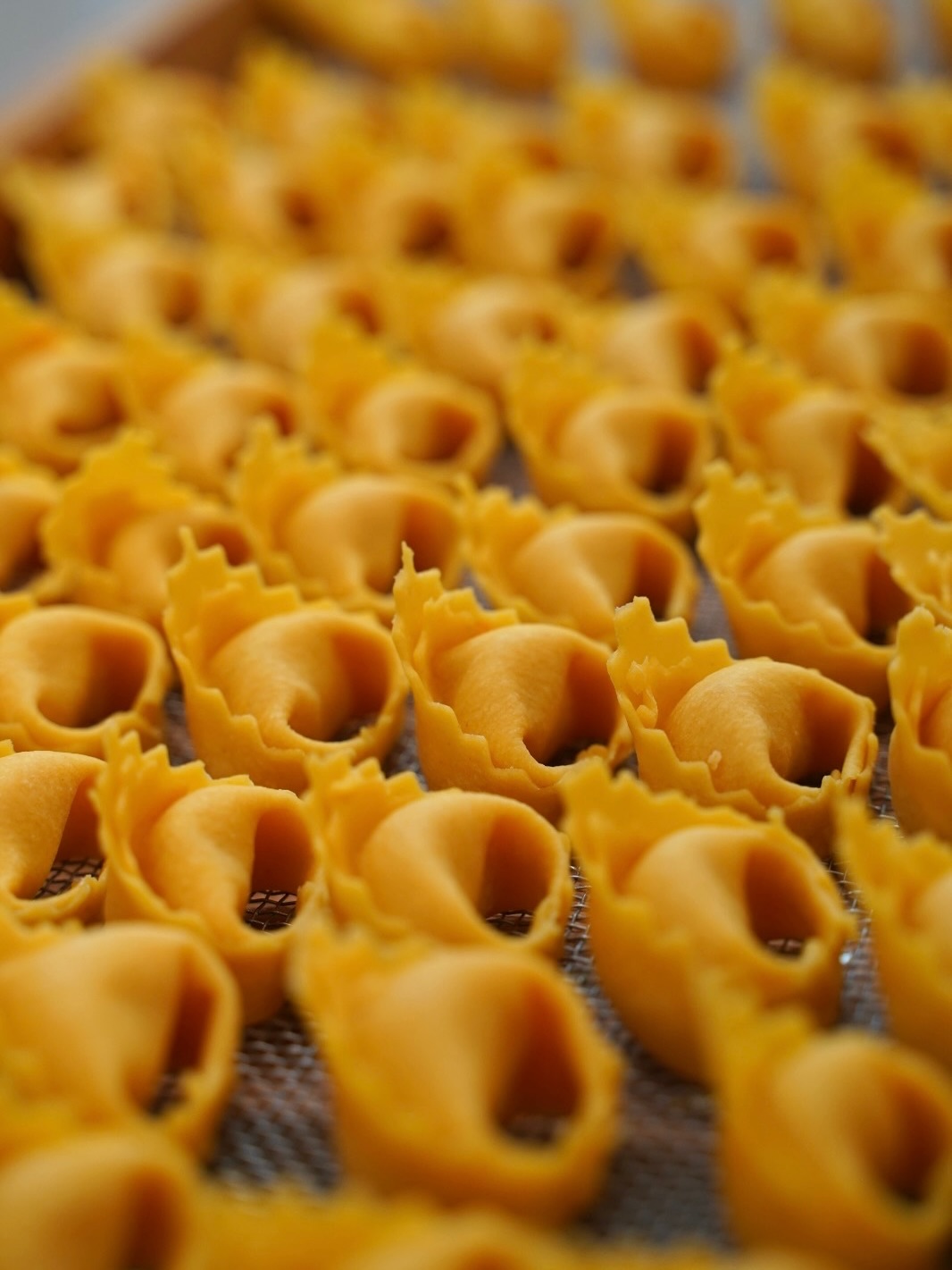 Semplici fuori, sorprendenti dentro: i tortelloni di zucca conquistano al primo assaggio.
Li hai mai provati?!
Li trovi freschi o cotti al momento da #pastafrescanaldi 📍
.
.
.
#freshpasta #pastafresca