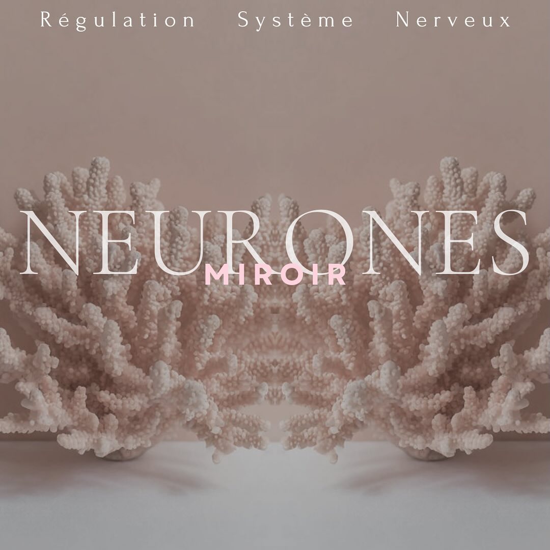 ✦ Les neurones miroir sont un type particulier de neurones qui s’activent à la fois lorsqu’une personne exécute une action et lorsqu’elle observe quelqu’un d’autre accomplir cette même action. Autrement dit, ces neurones « réfléchissent » l’action observée, comme un miroir, d’où leur nom. Elles font partie intégrante du système nerveux et se trouvent précisément dans le cortex prémoteur (impliqué dans la planification des mouvements),
le cortex pariétal (impliqué dans l’intégration sensorielle et la compréhension des actions) ainsi que le cortex insulaire et le système limbique, tous deux associés à l’empathie et aux émotions.
🪞Les neurones miroirs ont été découverts pour la première fois dans les années 1990. Il s’agit d’une découverte majeure en neurosciences car ils jouent un rôle central dans la cognition sociale (ensemble des processus cognitifs comme la perception, la mémorisation, le raisonnement, les émotions...
👉🏼Swipez pour découvrir leur rôle et leur importance dans différents aspects du comportement humain et de la cognition.
🪸Au cours de la vie, il est possible de perdre en qualité de neurones miroir. Cependant, le cerveau humain est doté d’une capacité remarquable appelée neuroplasticité (faculté du cerveau à récupérer et à se restructurer). Grâce à une régulation du système nerveux, il est donc possible d’améliorer la performance fonctionnelle des neurones miroir.
♡
.
.
#selfcare #selflove #body #bienetre #etrebien #conditionphysique #care #equilibre #amatherapeute #montpelliersud #holistique #holisme #global #montpellier #therapeute #therapie #mieuxetre #neurones #neuronesmiroir #plasticite #cerebrale #brain #regulation #systemenerveux