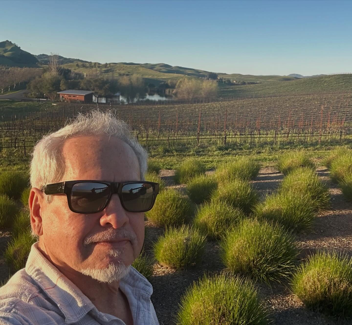 Just another ordinary day here in beautiful wine country!🍇🍇🍷