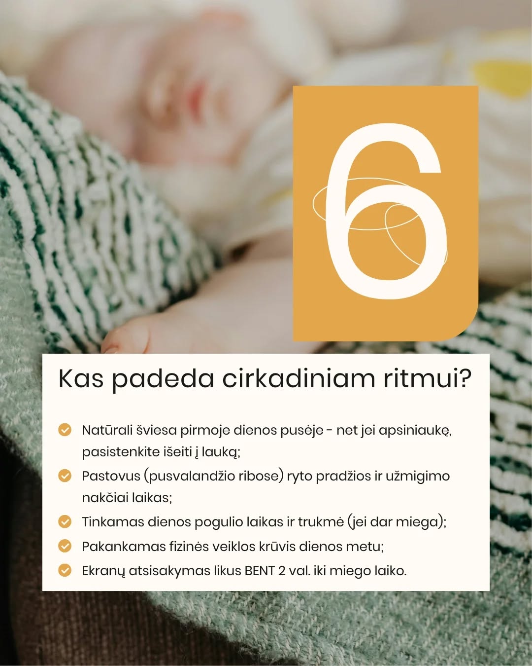 CIRKADINIS RITMAS. 🌙 Ar žinojote, kad vaiko miego ritmas nėra tik „gero įpročio“ reikalas? Tai biologinis procesas, kurį valdo cirkadiniai ritmai.
Cirkadinis ritmas – tai vidinis kiekvieno mūsų laikrodis, kuris organizme reguliuoja miego–budrumo ciklą, hormonų gamybą ir energijos lygį per ~24 valandas. Jis padeda kūnui natūraliai suprasti, kada jam laikas ilsėtis, o kada būti aktyviam.
🕰Vaikams šis ritmas formuojasi nuo pirmųjų mėnesių, o iki ~5 metų jis tampa vis stabilesnis ir panašesnis į mūsų, suaugusiųjų.
Tamsa skatina melatonino gamybą – hormono, kuris padeda užmigti. Šviesa, ypač mėlynos spalvos, atvirkščiai – signalizuoja organizmui, kad dar ne laikas miegoti.
👉 Nereguliarus grafikas ar netvarkinga diena gali „išmušti” šį ritmą ir apsunkinti užmigimą ar nakties poilsį.
ČIA į pagalbą ateina Purflo miego treniruoklis laikrodukas:
🔴 raudona šviesa – laikas ramiai lėtėti ir ruoštis miegui
🔵 mėlyna šviesa – rytas atėjo ir galime keltis
Tokiu būdu jūsų mažylis ima suprasti savo biologinį laikrodį per regimą ir lengviau nei žodžiai suprantamą ženklą – ir tai padeda kasdien palaikyti sveiką ritmą. ✨
🛒2025 m. „First time moms UK” apdovanojimų nugalėtoją „Snoozee“ laikroduką atraskite www.mylu.lt (ar per nuorodą bio).
Kovą jam -10% nuolaida!
#purflo #miegolaikrodis #mylushop #vaikumiegas #miegorutina miego superherojus tėvystė mamų gyvenimas purflo laikrodis snoozee