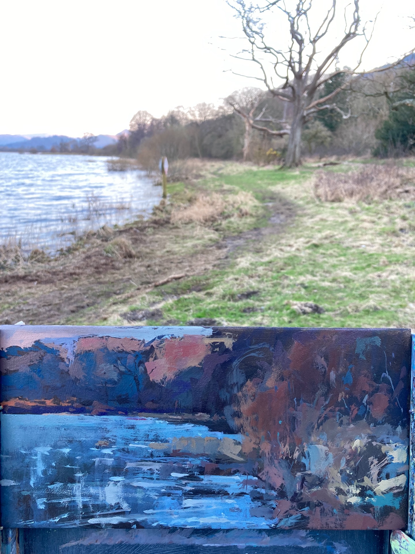 I was painting with Lyn Evans on the shore of Bassenthwaite a couple of days ago, we had planned to meet up in a lay-by on the a66 to catch the low afternoon light.. unfortunately we hadn’t thought where the sun would set. So across the water everything was bathed in the warm glow of late afternoon light while we stood in deep shade, but it was still very enjoyable, if a bit cool on a very spring like day