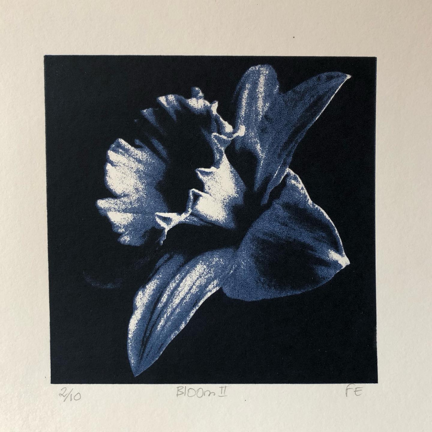 Our exhibition is open! The next of our exhibitor highlights is Fiona Emmott, another new member but an artist who is not new to printmaking - she also makes etchings and you can see this influence in the two prints she has in ‘Flourish’. These are some of the smallest works in the show but they definitely deserve a close look.
Flourish is open Friday 6th March -Sunday 5th April Monday -Saturday 9am -5pm Sunday 9am - 4pm
Window Gallery, Phoenix Art space, 10-14 Waterloo Place Brighton BN2 9NB
#brightonartists #screenprintingbrighton #phoenixartspace #botanicalprints