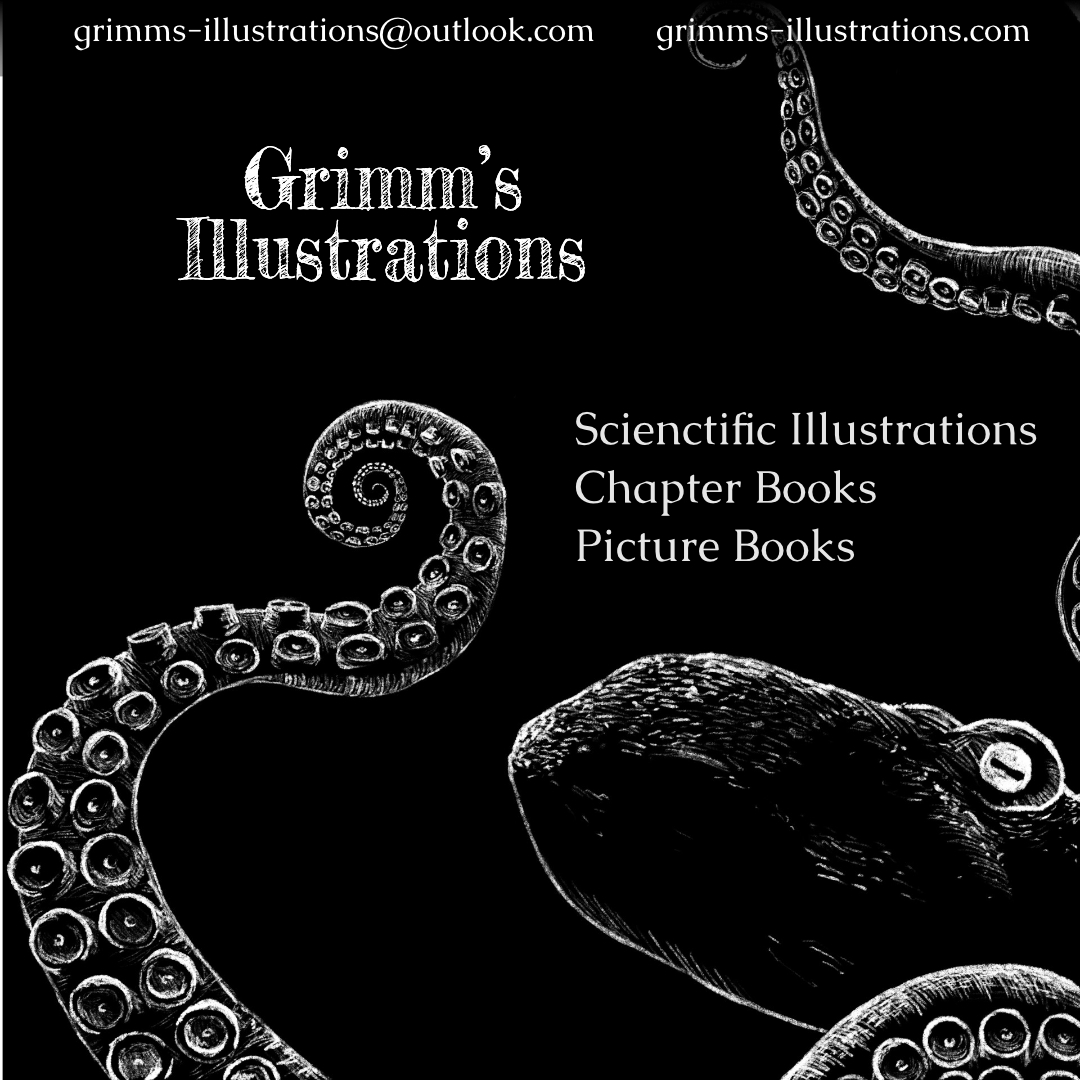 Happy belated #kidlitartpostcard day!
My name is Merle Grimm, and I would love to collaborate with you on your next book!
I am currently travelling through New Zealand while working on a new picture book, drawing tons of animals.
#illustrator #kidlit #kidlitart