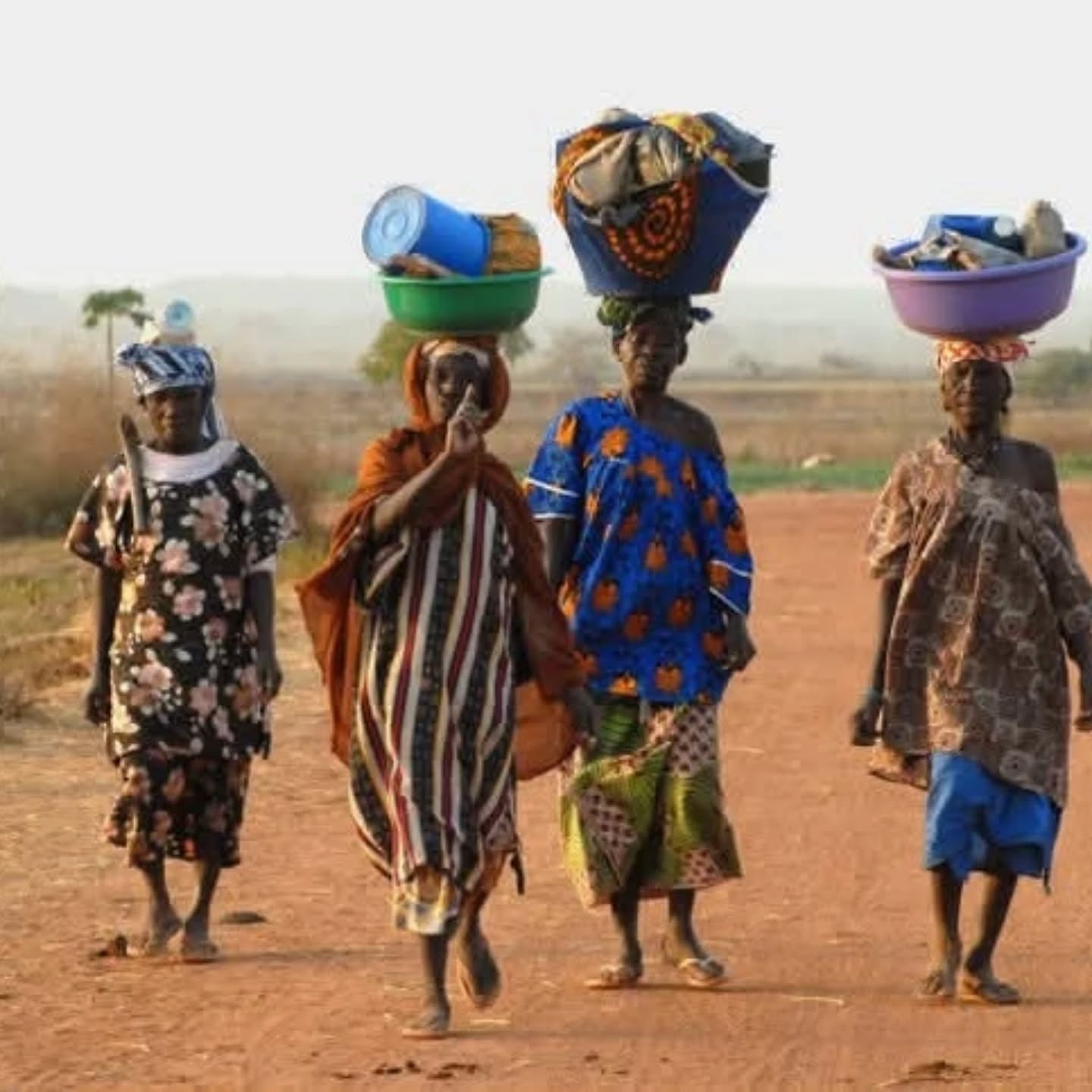 🌾 Aujourd’hui, mettons à l’honneur les femmes paysannes des pays du Sud et du Nord
Par leur travail, leur courage et leur savoir, elles nourrissent leurs communautés et protègent la terre.
Soutenons leurs droits et valorisons leur rôle essentiel. 👩🏾🌾🌍
#FemmesPaysannes #Agriculture #Solidarité #JournéeDesFemmes #afdi